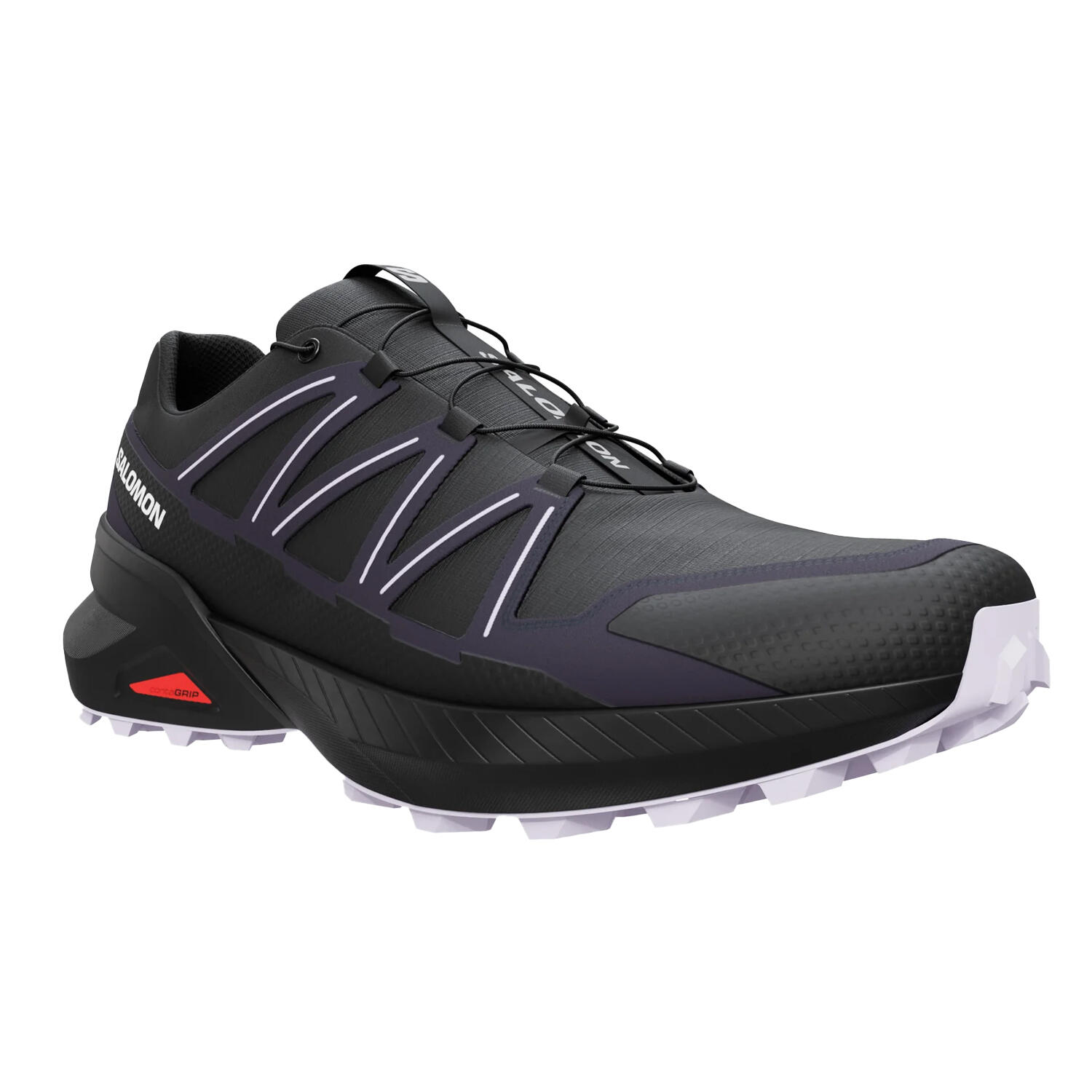 SALOMON picture