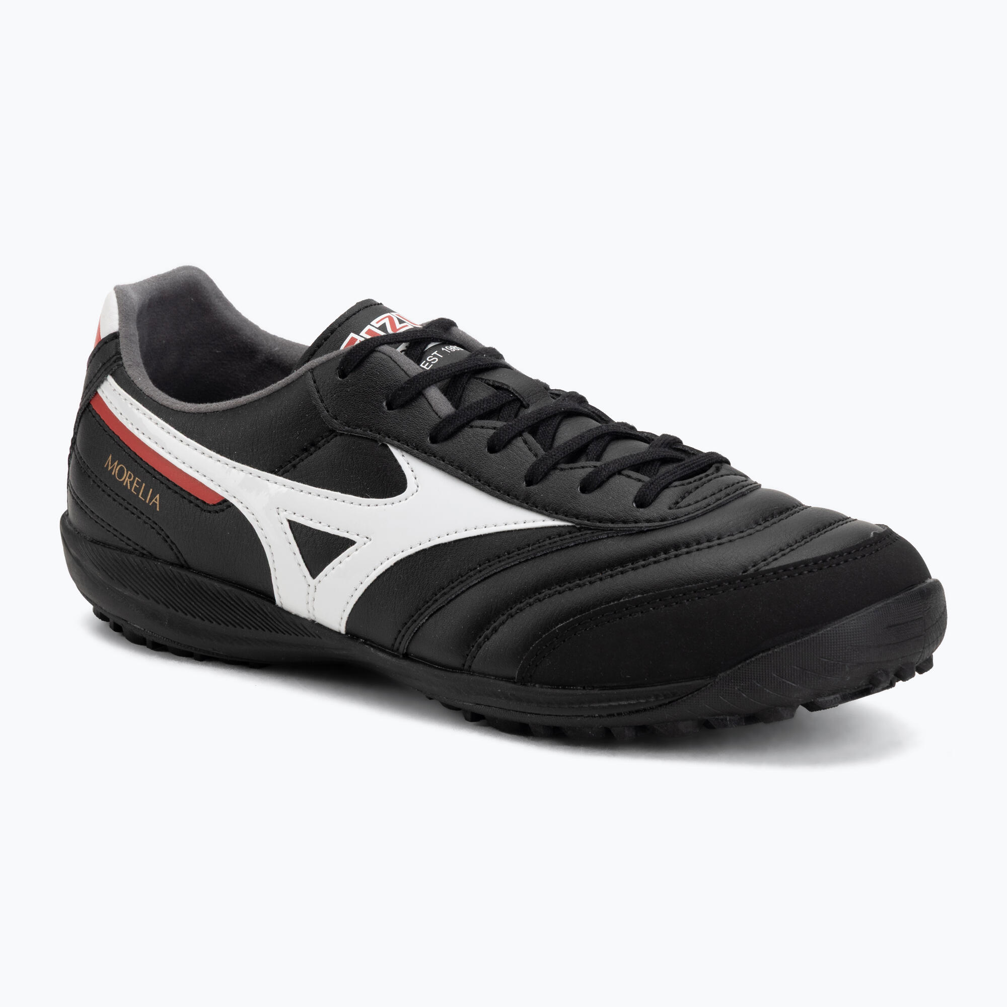 MIZUNO picture