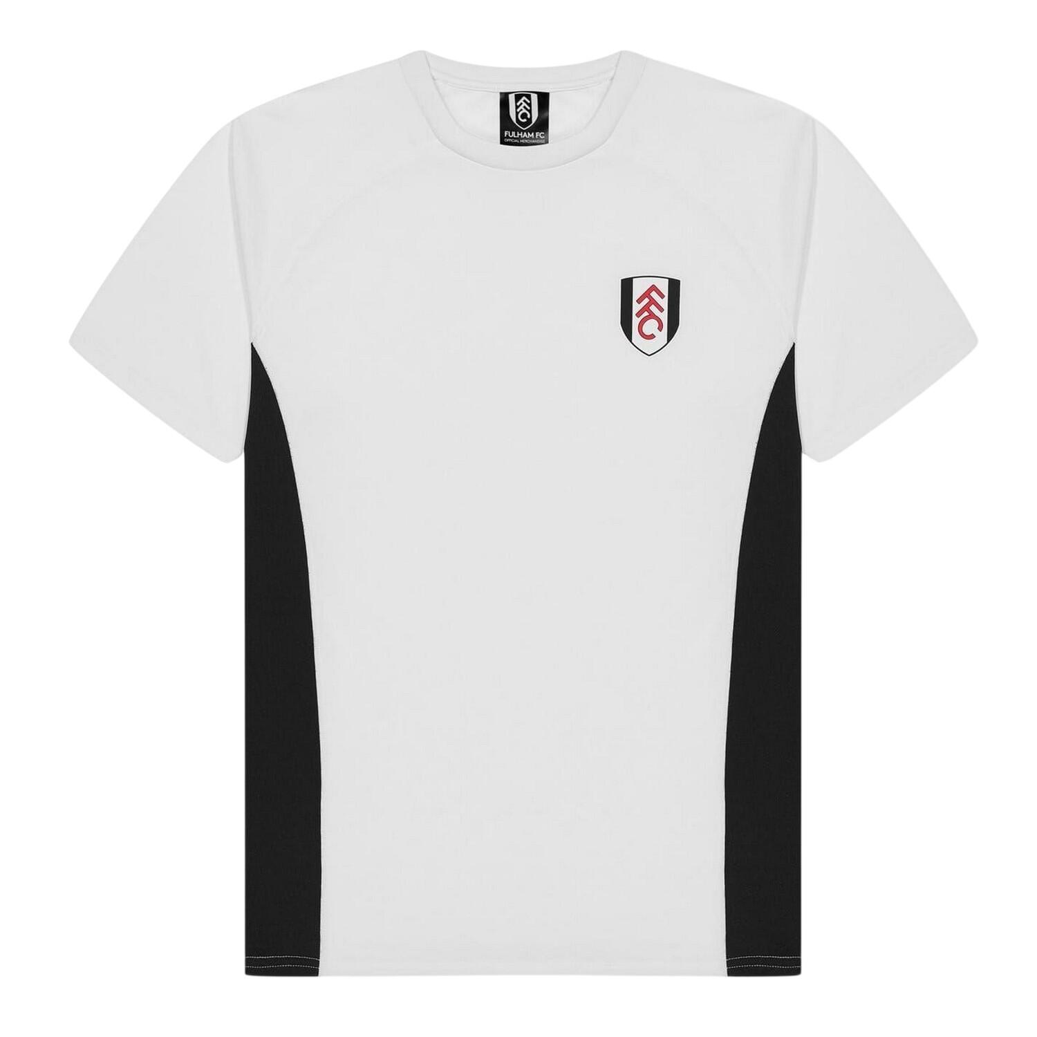 FULHAM FC picture