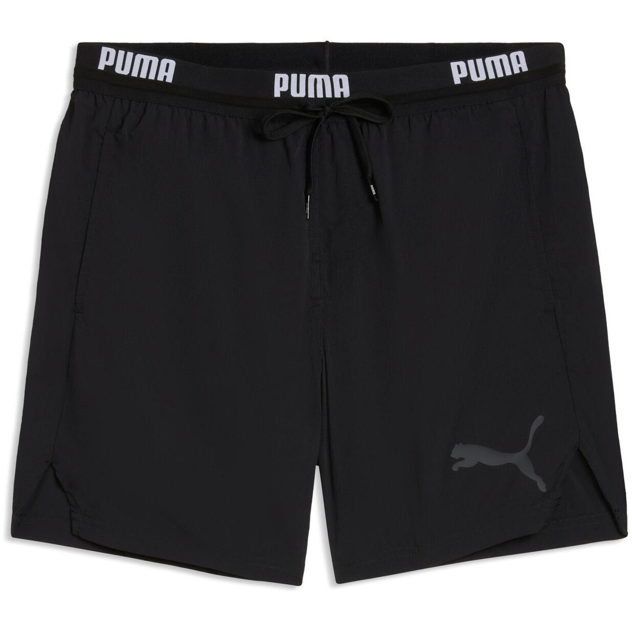 PUMA picture