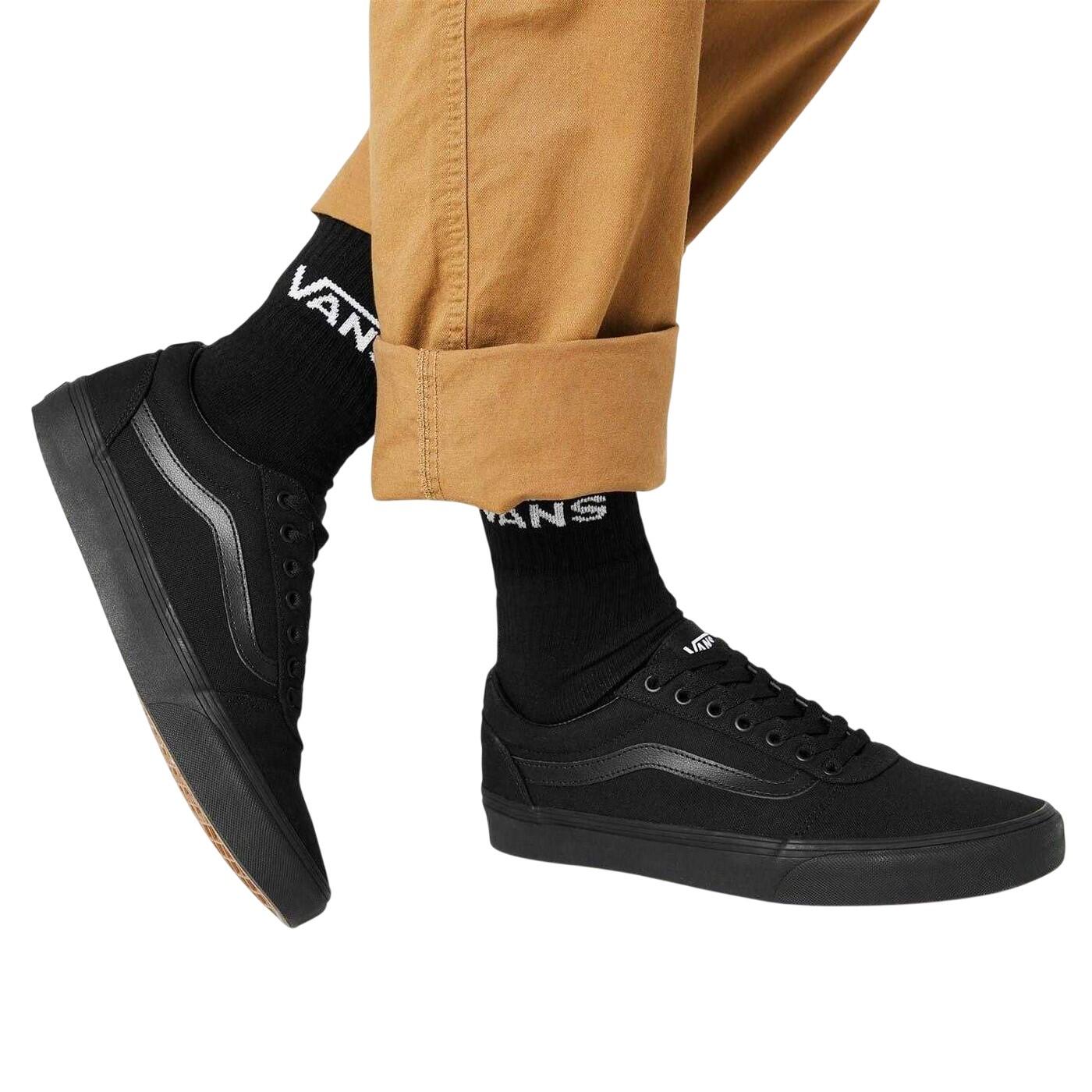 VANS picture