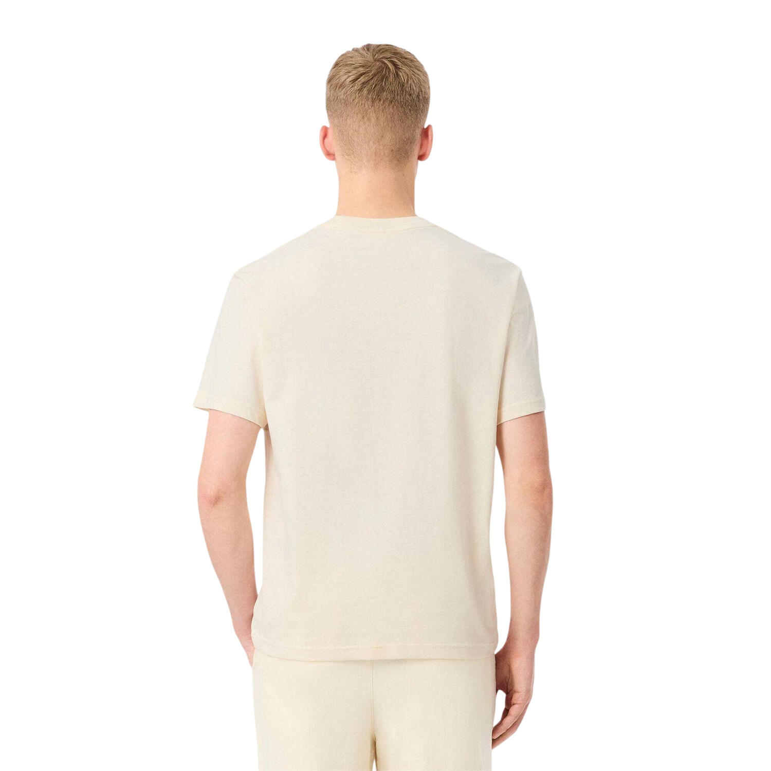 Maglietta Regolare Blocchi Di Colore Cotone Uomo Lacoste Beige 3/3