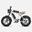 M20 este o bicicletă electrică pentru adulți，cu două baterii de 48V 26Ah，20x4.0”