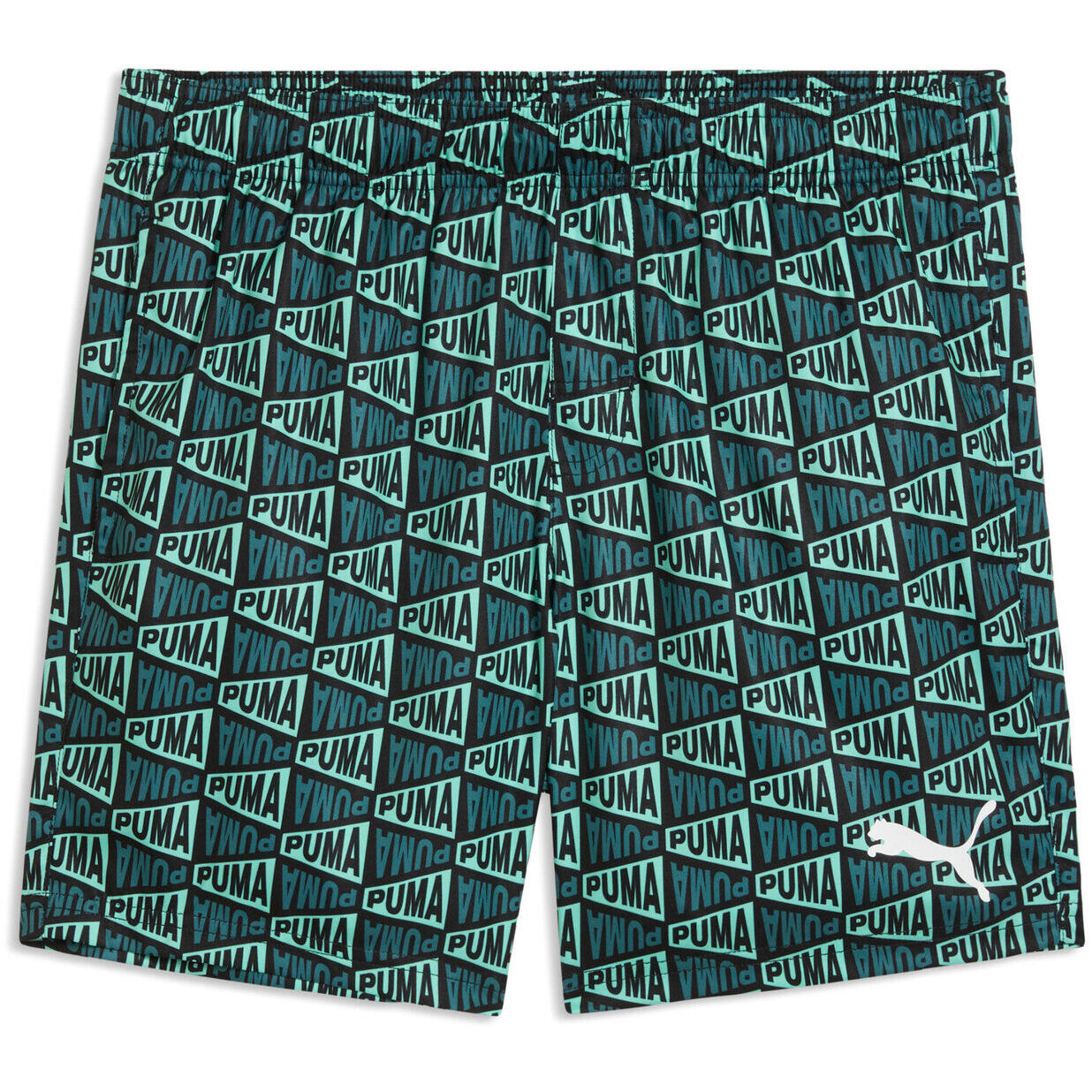 Szorty męskie Puma Swim Men Printed Flag Mid Shorts 1p 5/5