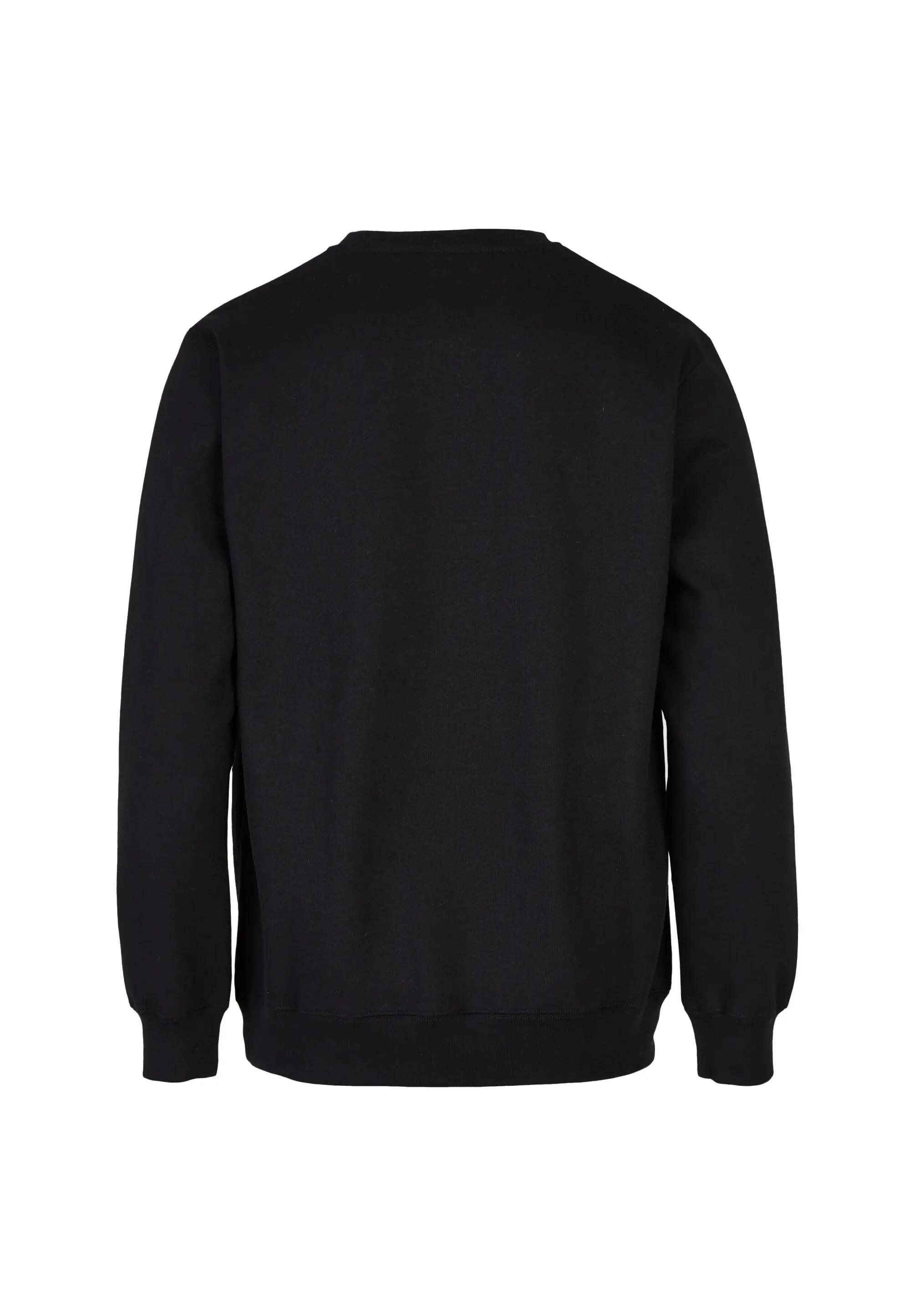Sweatshirt Embro Gull 2/15