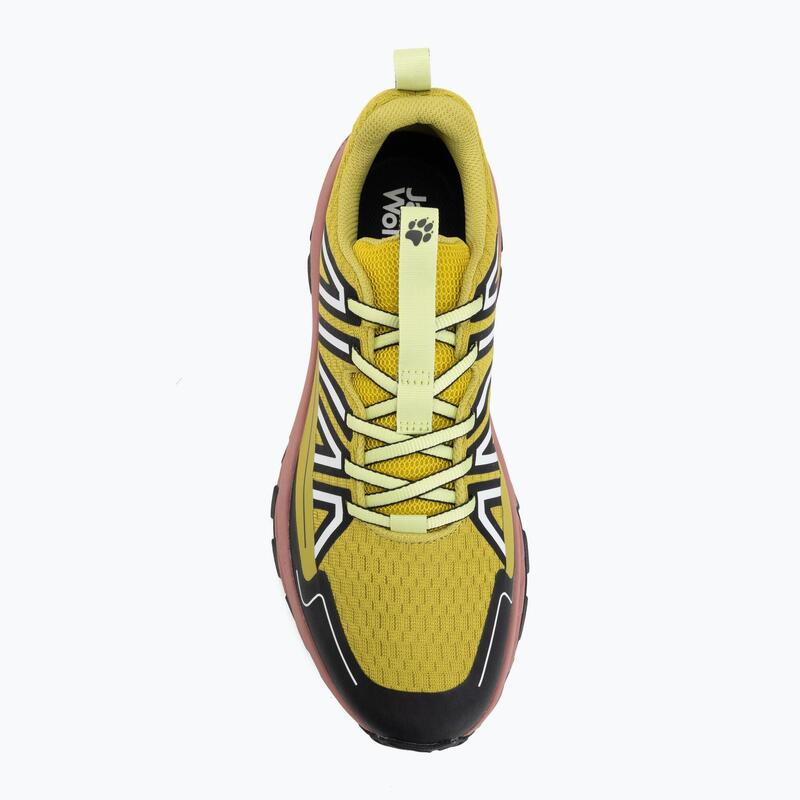 Încălțăminte turistică pentru bărbați Jack Wolfskin Wild Hike Low
