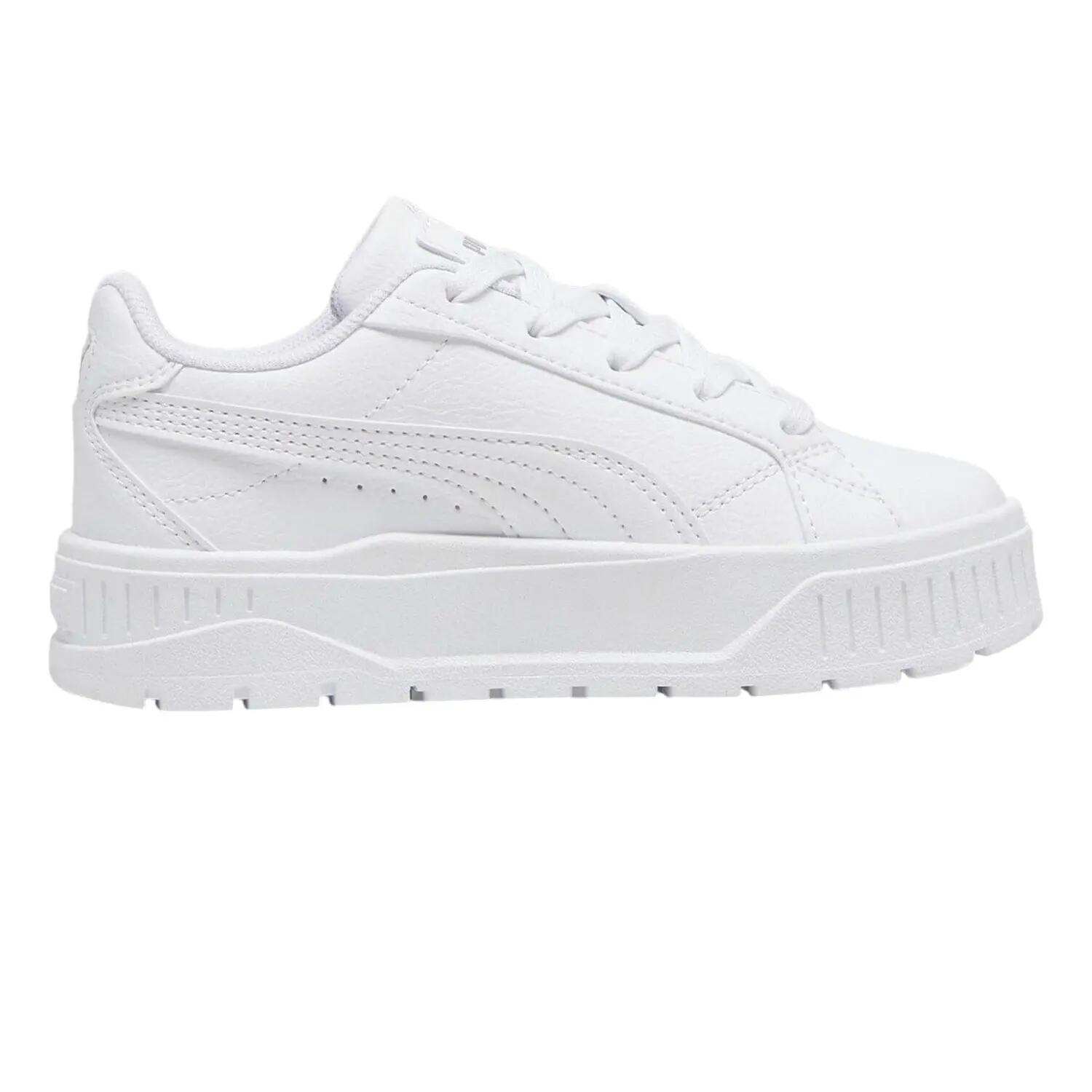 PUMA picture