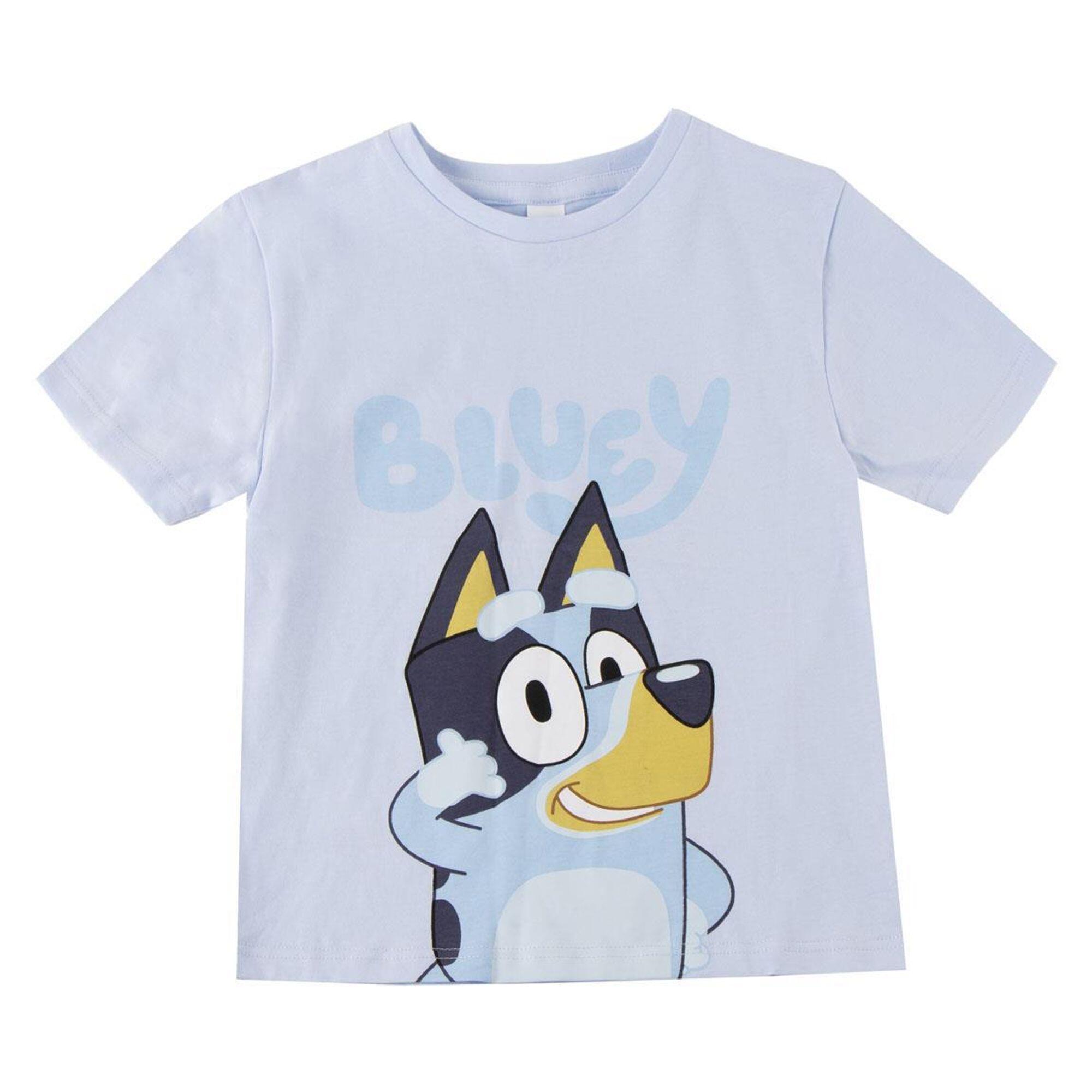 BLUEY picture
