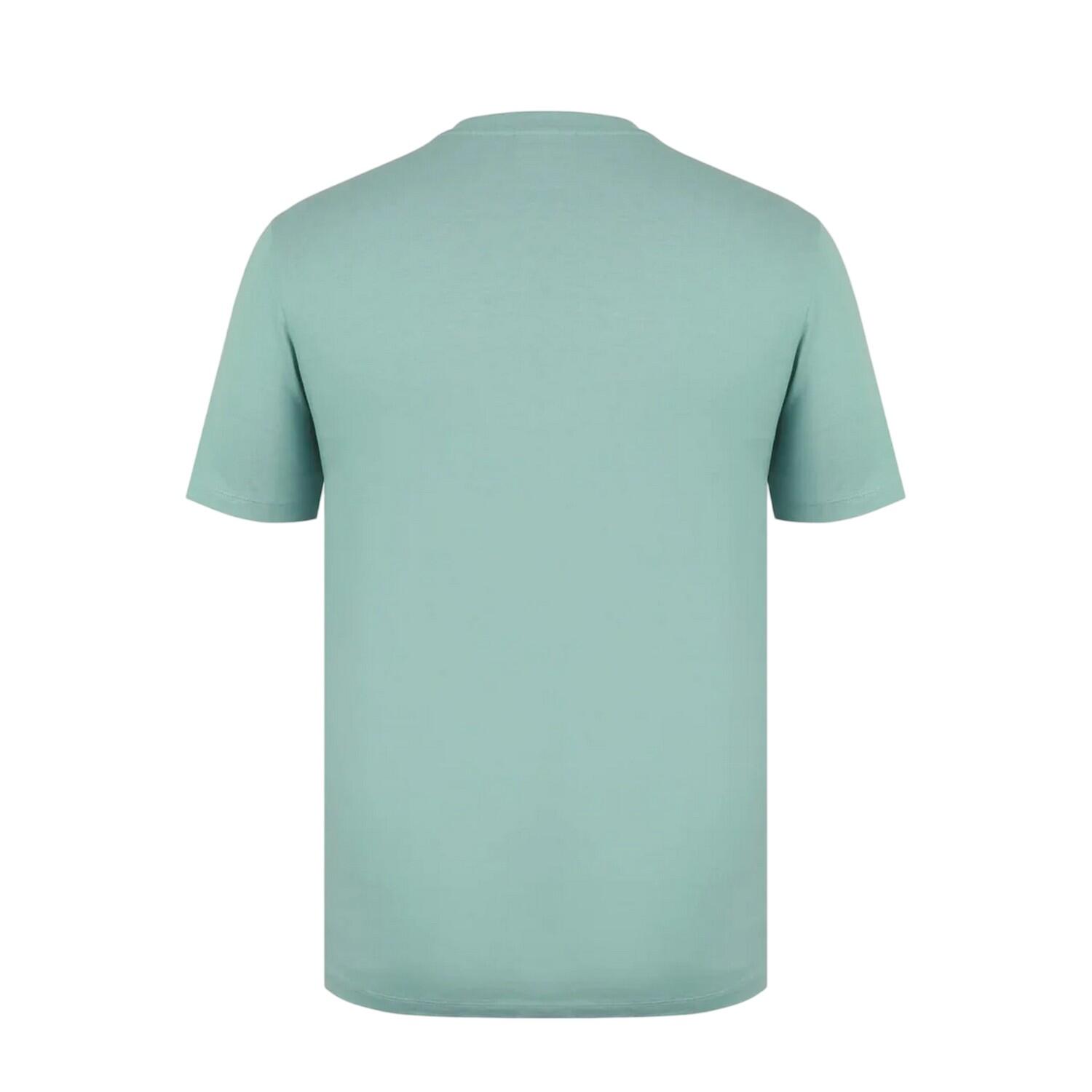 Mens Embroidered Logo Cotton TShirt (Pistachio) 2/3