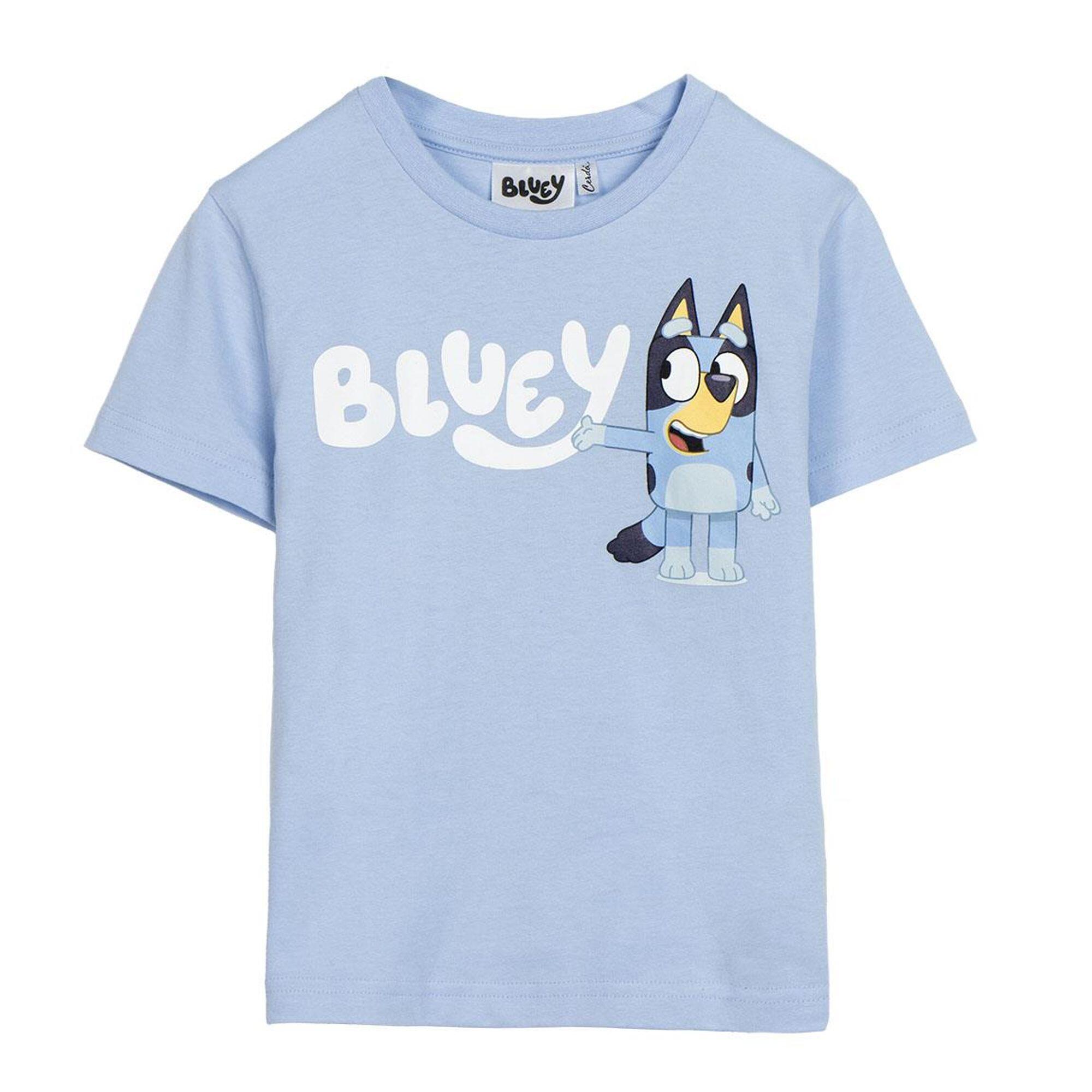 BLUEY picture