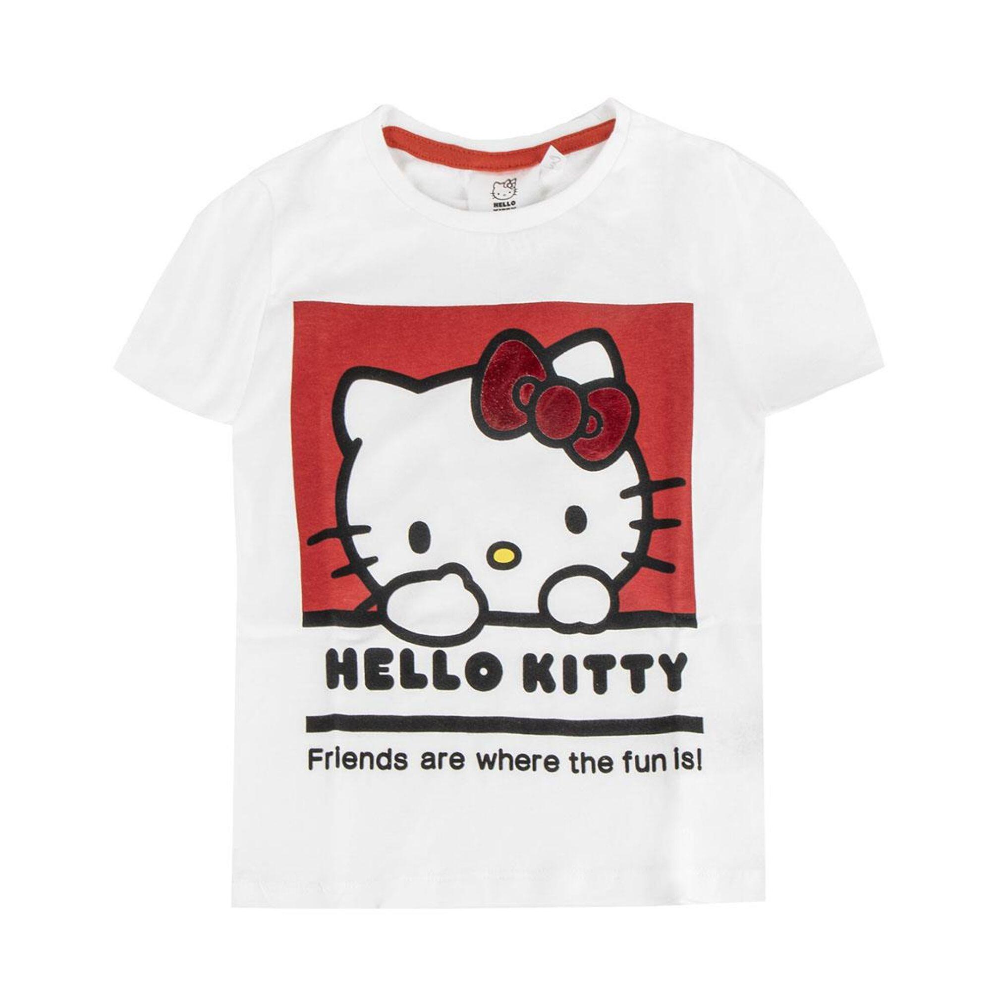 HELLO KITTY picture