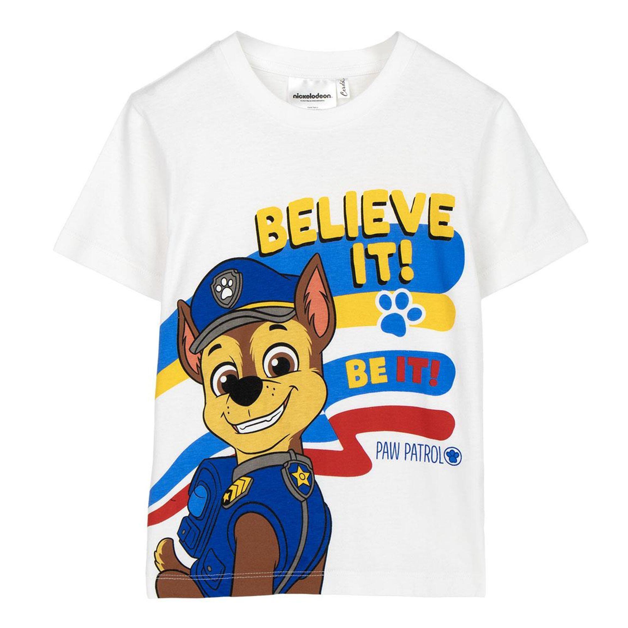 PAW PATROL picture
