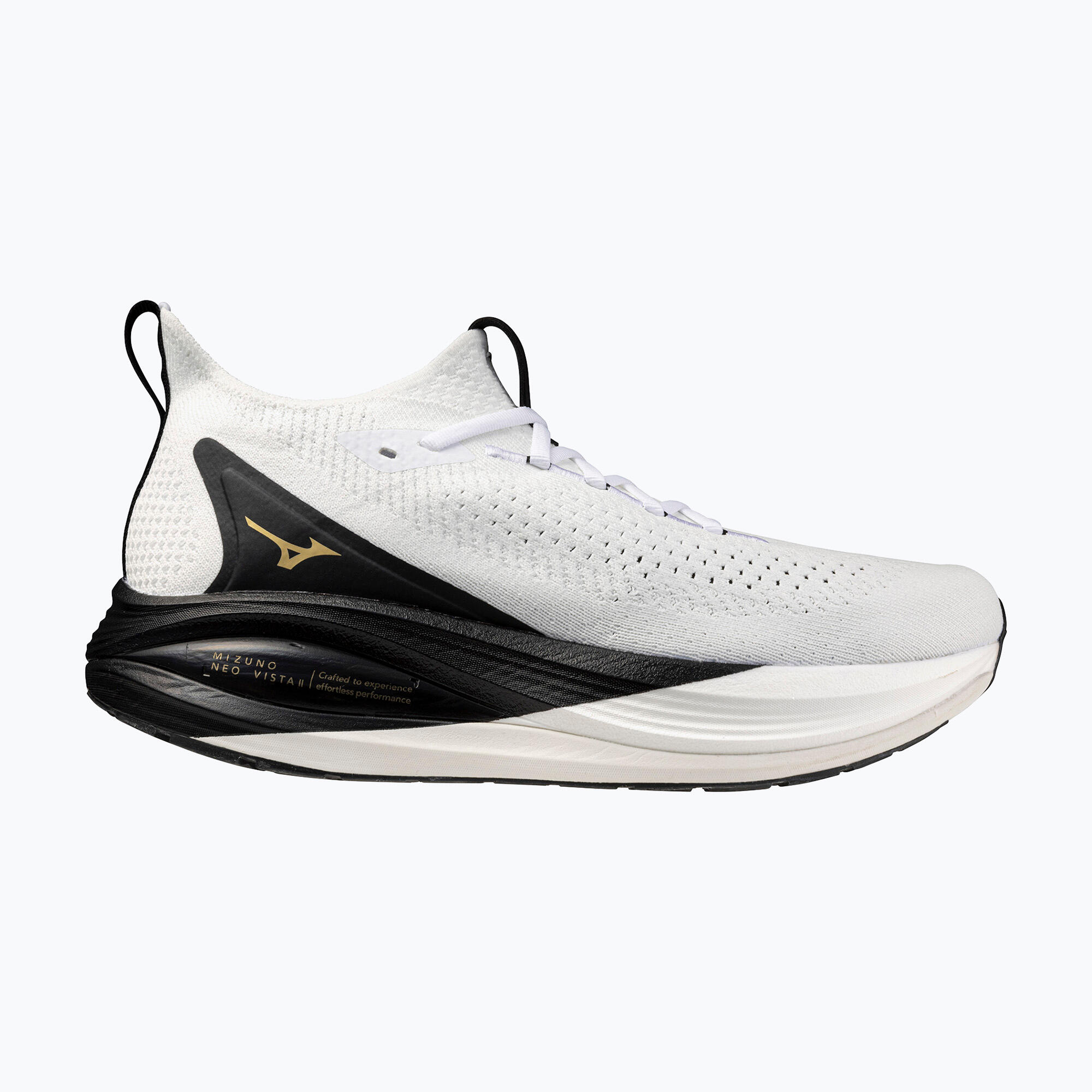 MIZUNO picture