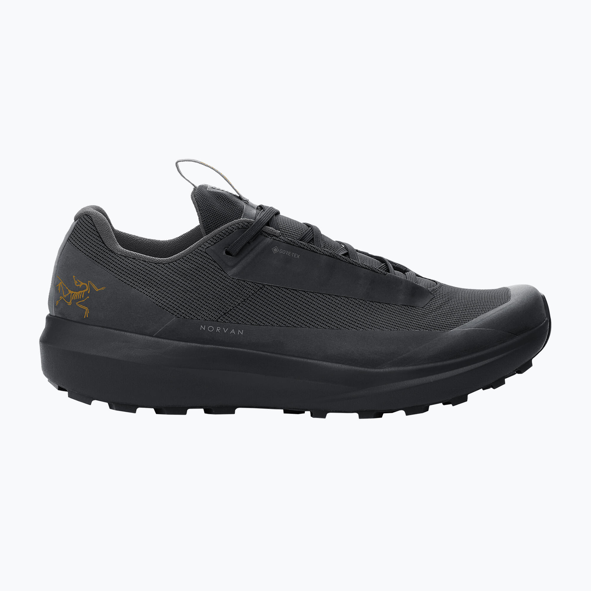 Buty do biegania męskie Arcteryx Norvan LD 4 GTX 1/2