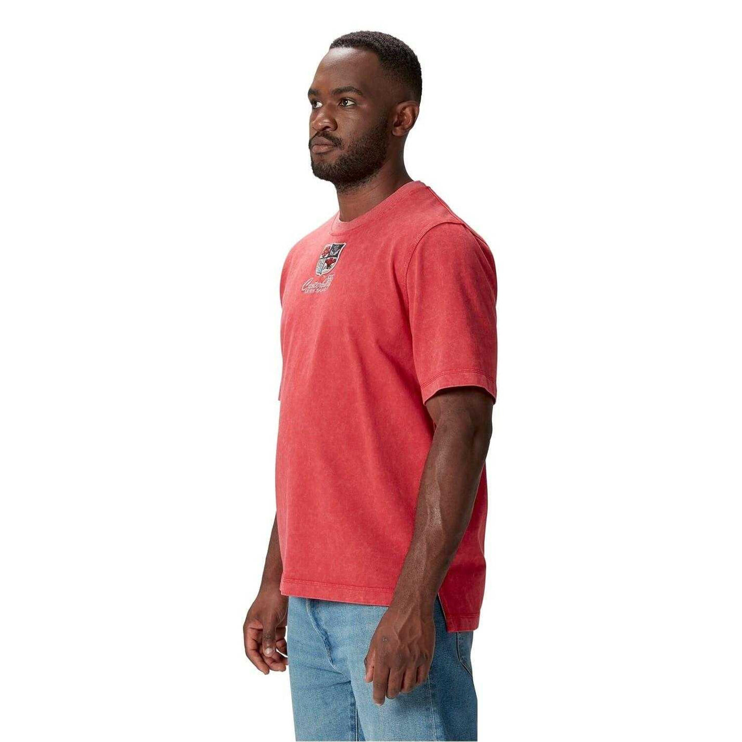 Mens Heritage 2025 British & Irish Lions TShirt (Haute Red) 4/4