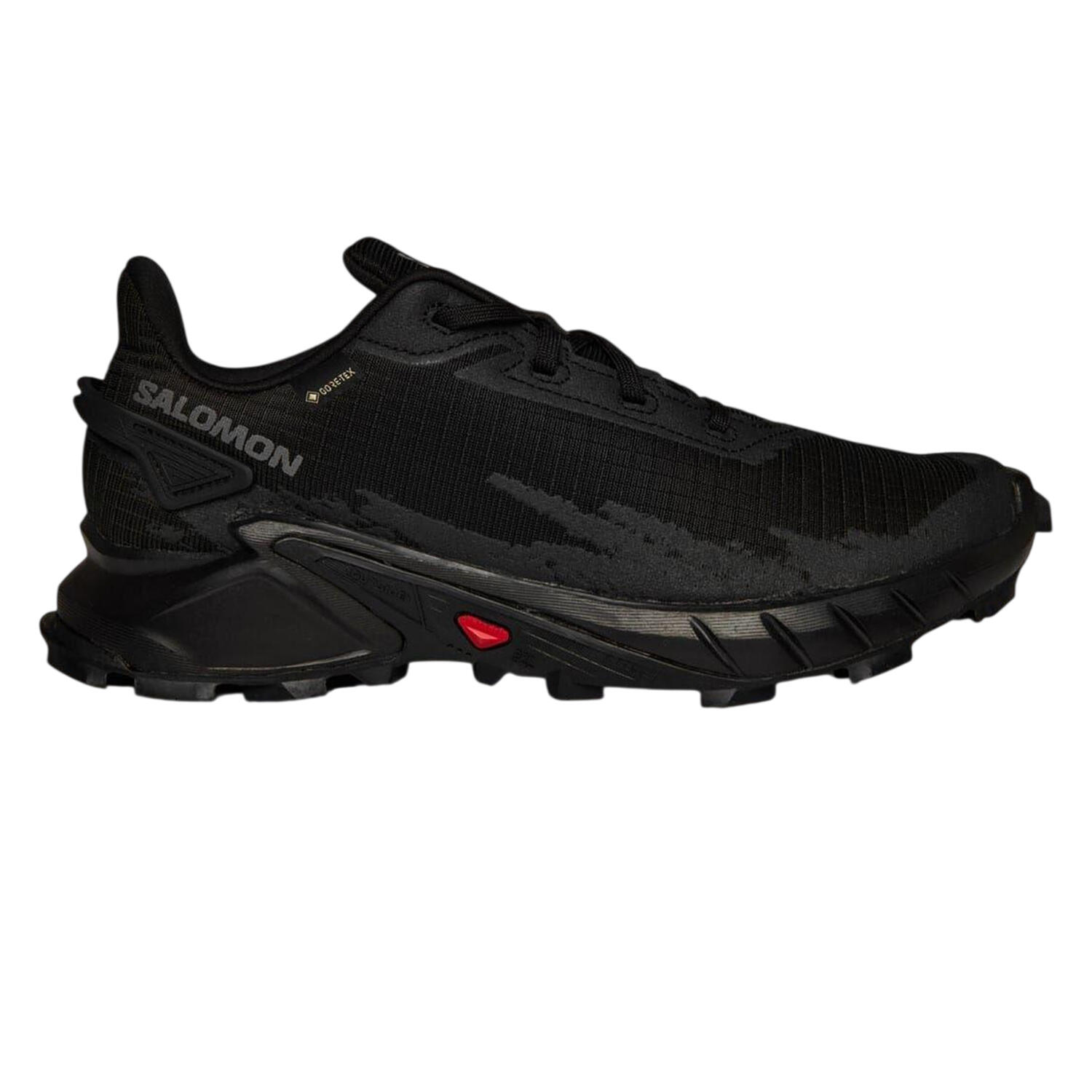 SALOMON picture