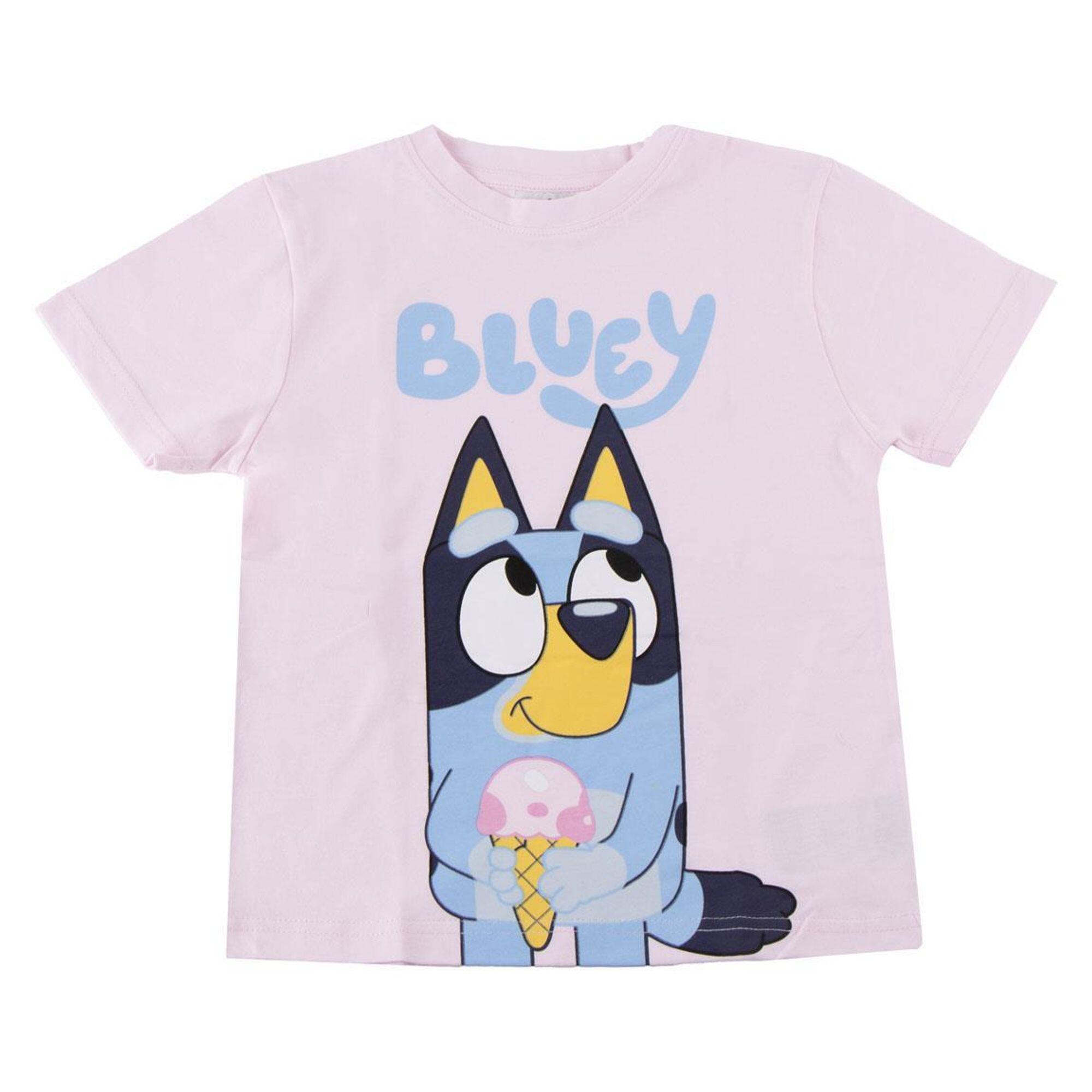BLUEY picture