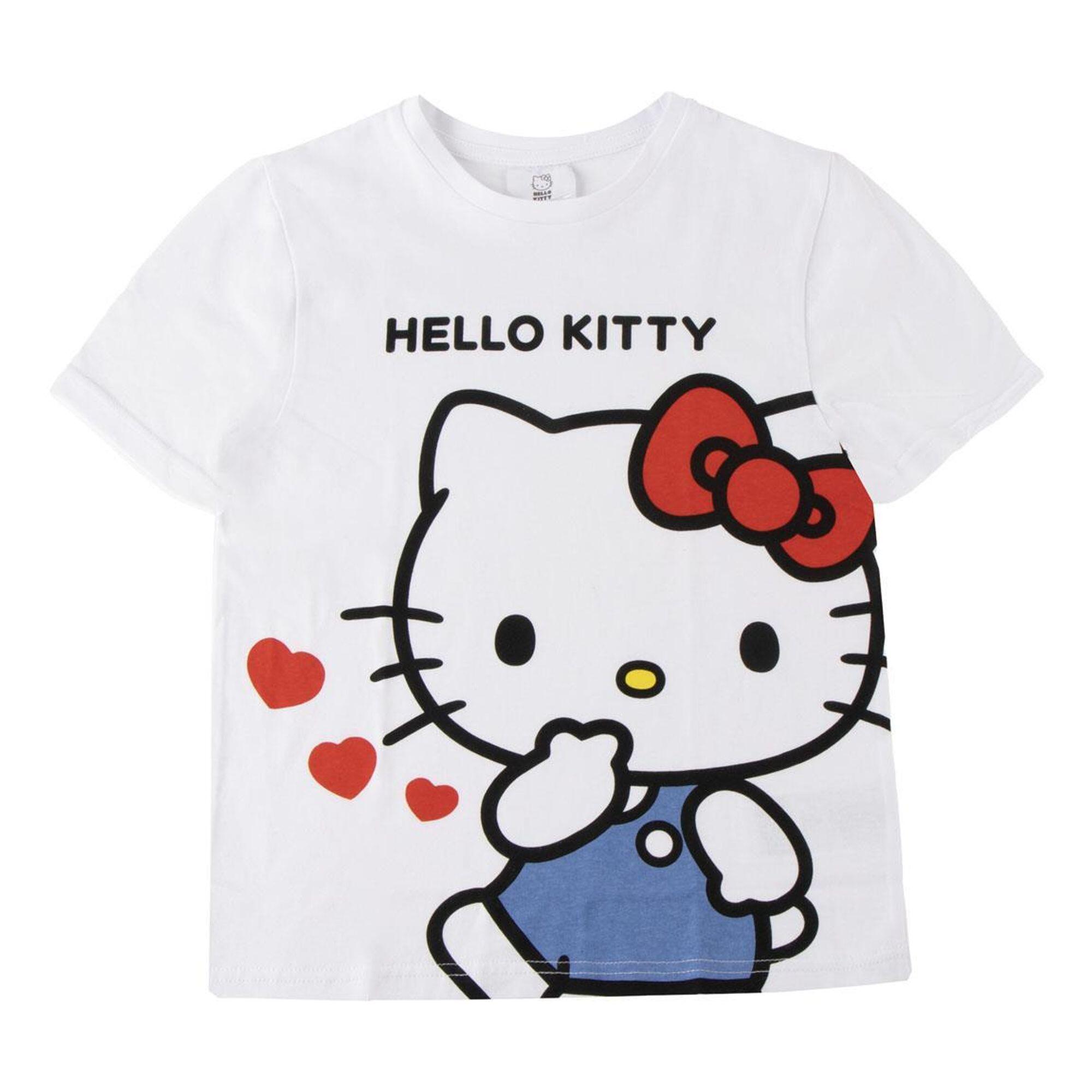 HELLO KITTY picture