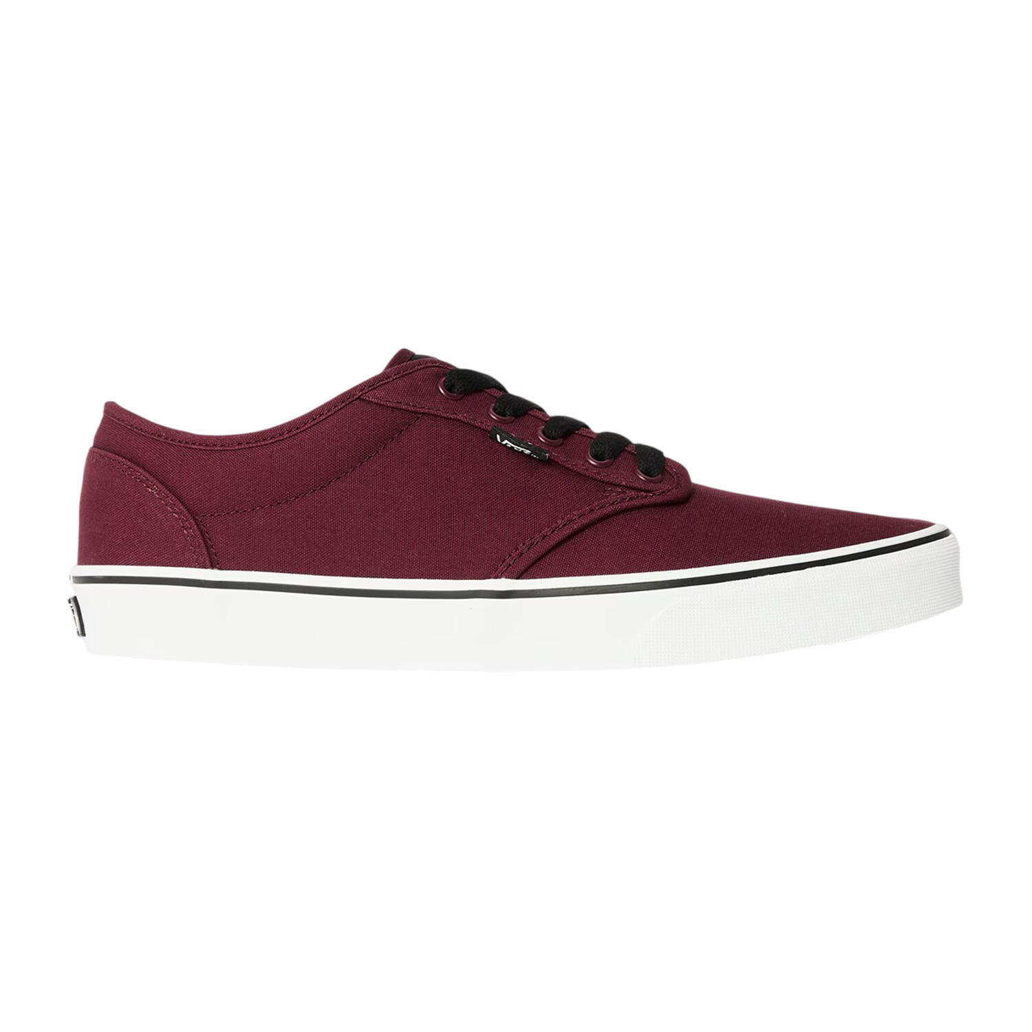 VANS picture
