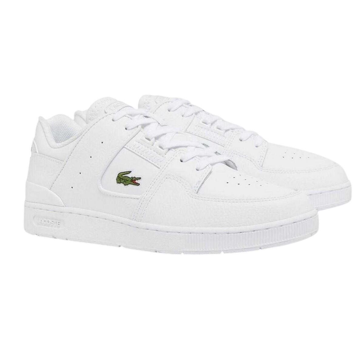 LACOSTE picture