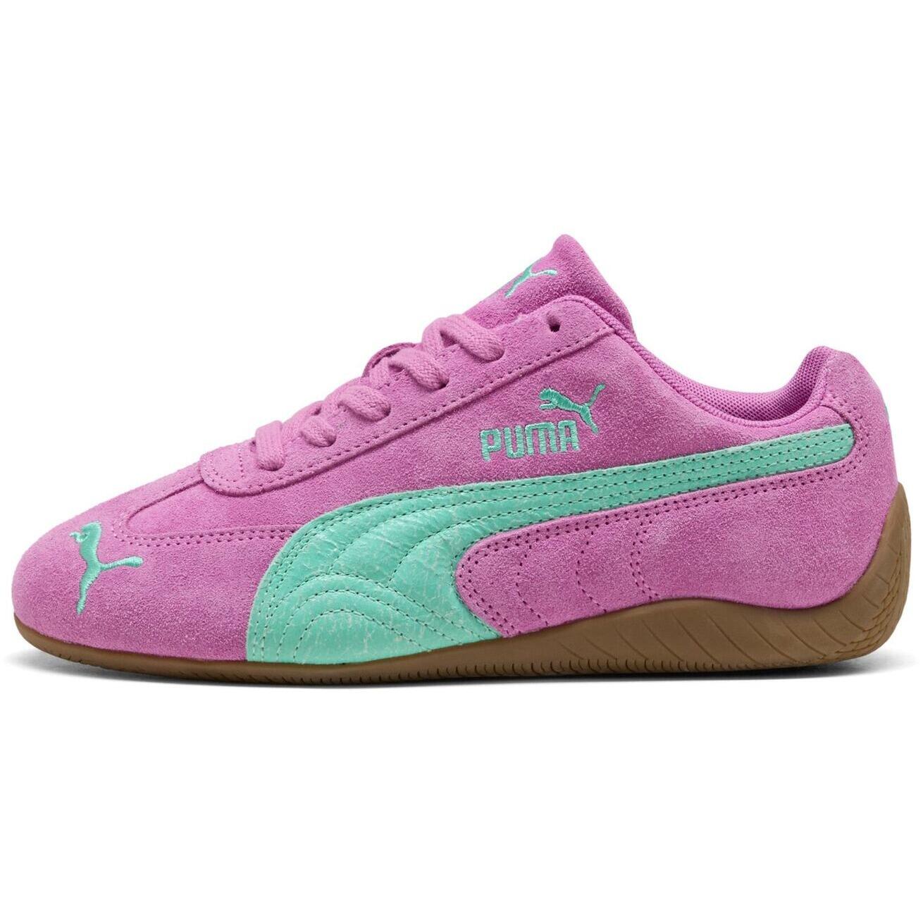 PUMA picture
