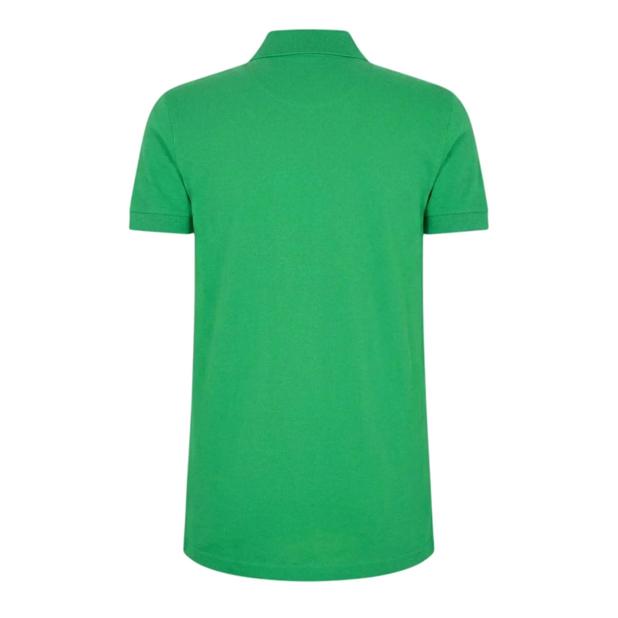 Polo FIRENZE Homme (Vert) 2/2