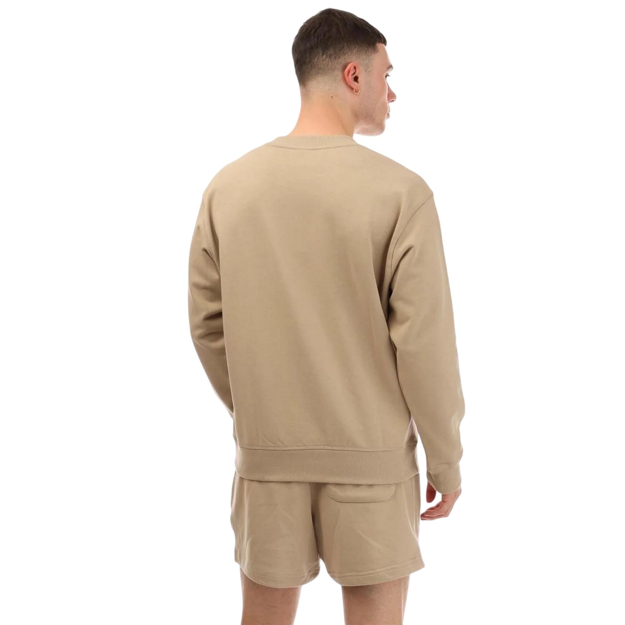 Sweatshirt für , Rundhalsausschnitt, SweatshirtStoff Herren Steinfarben 3/4