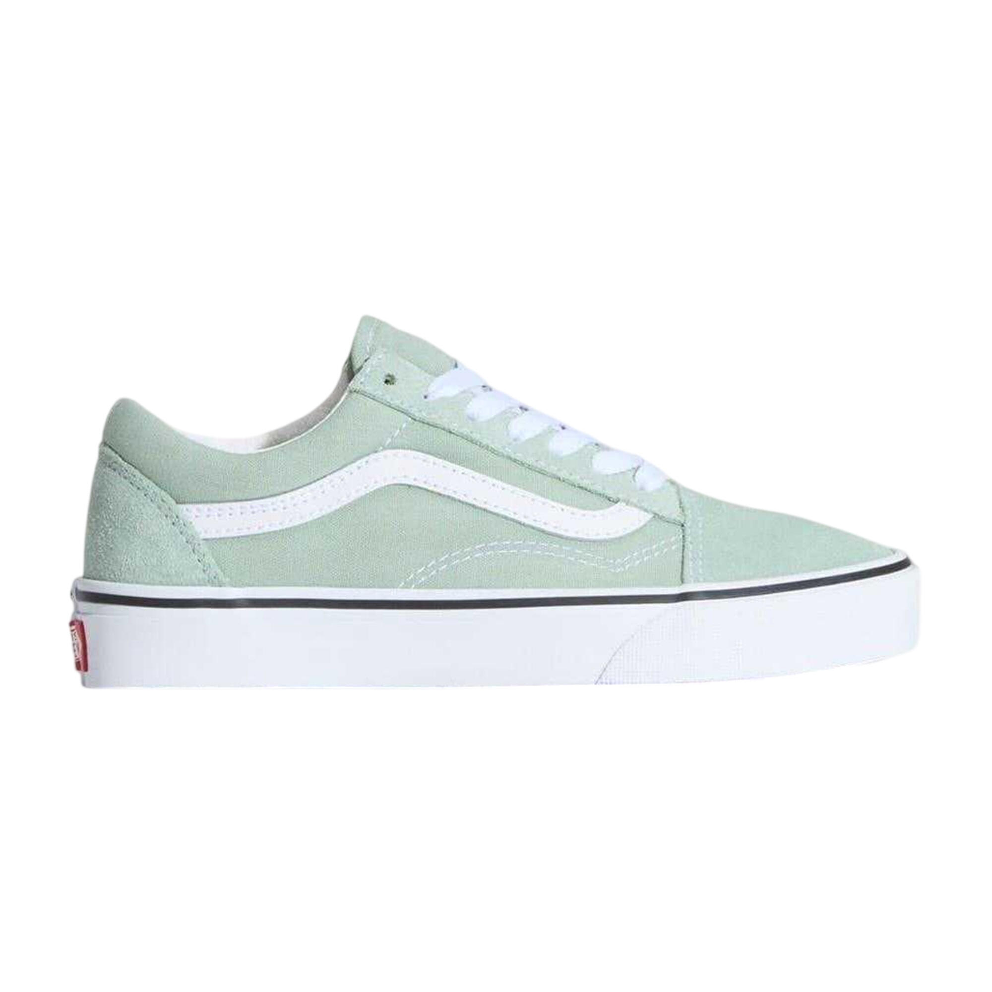 VANS picture