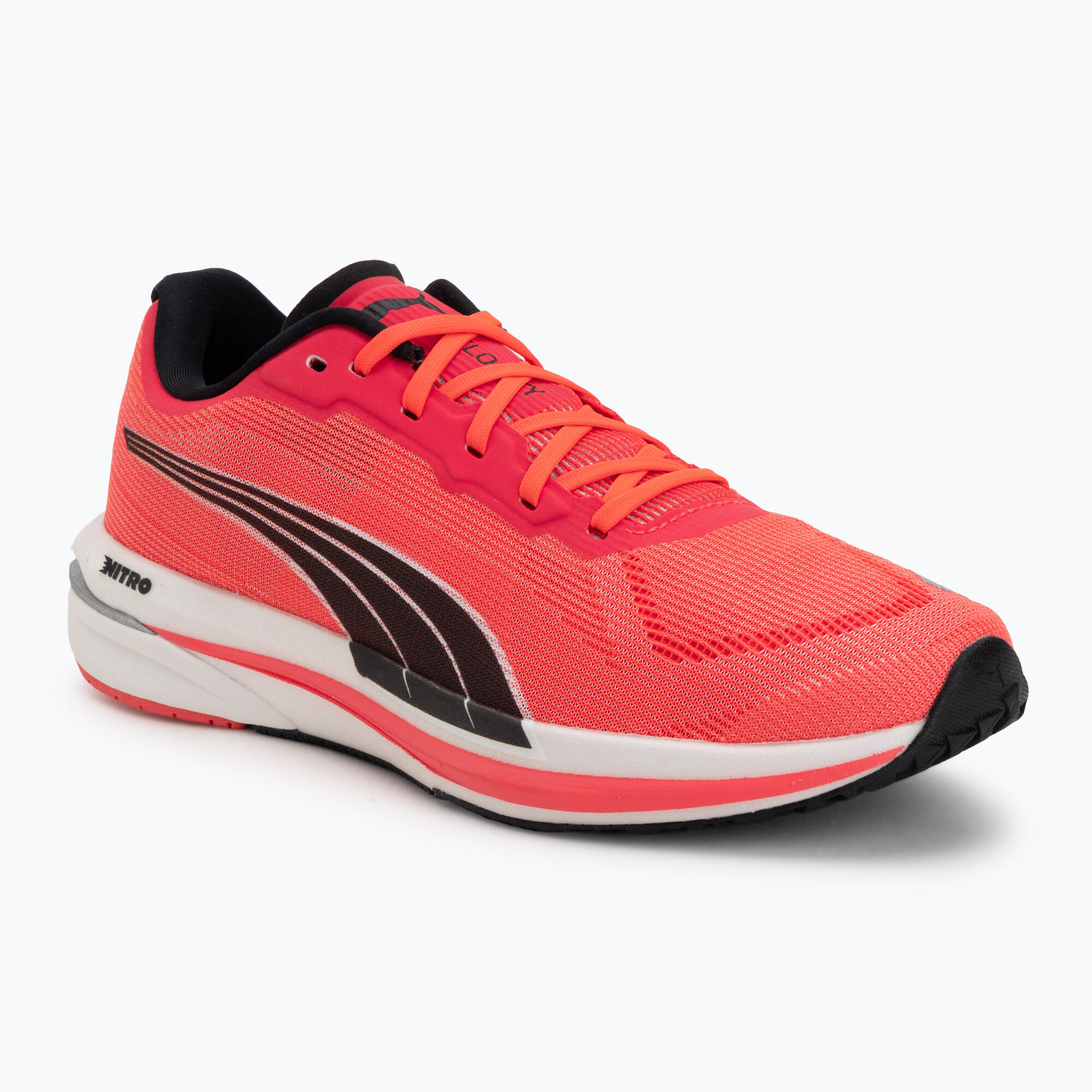 PUMA picture