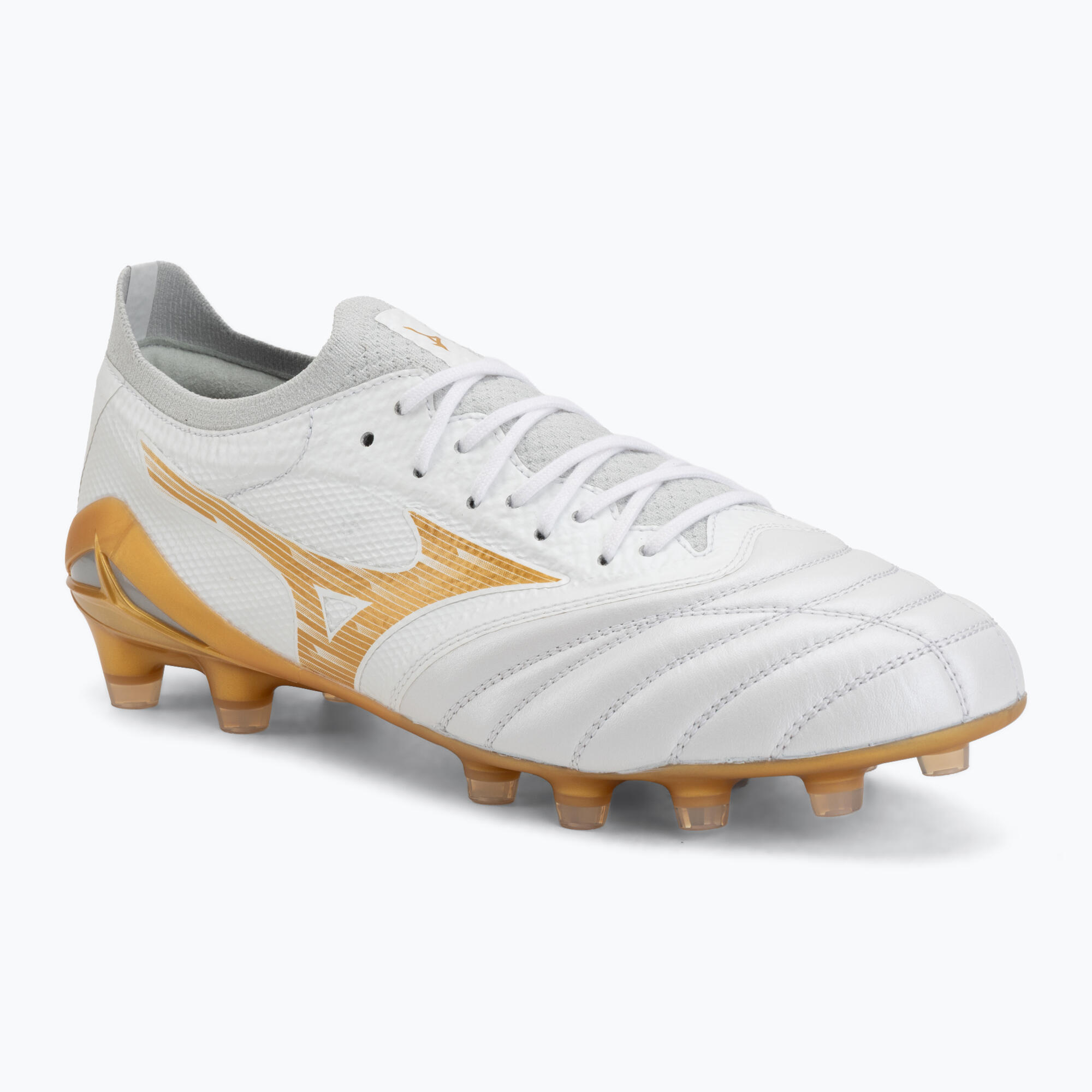 MIZUNO picture