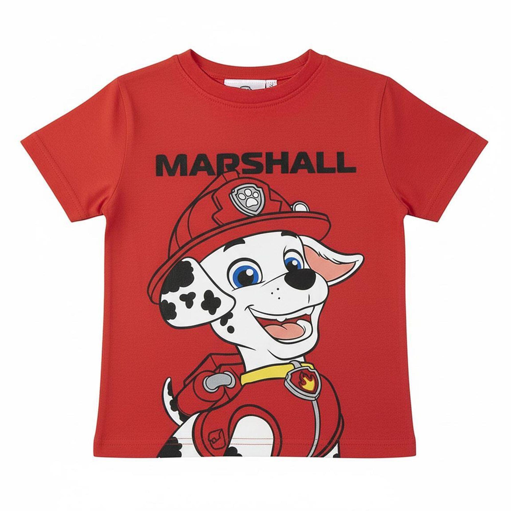 PAW PATROL picture