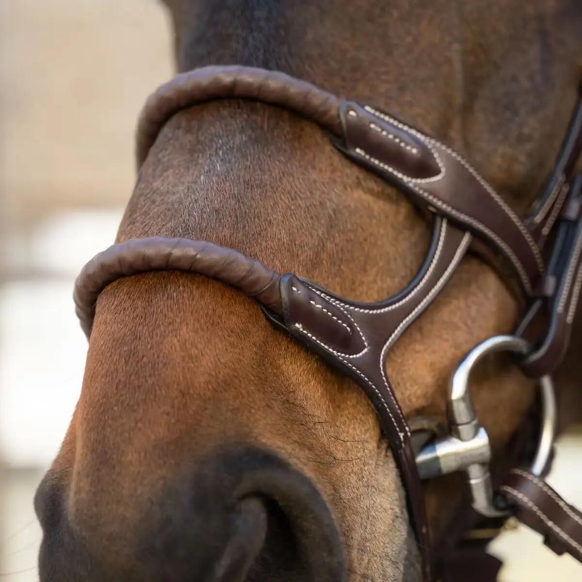 Muserolle cavallo doppia con corda rivestita Dy'on 3/5