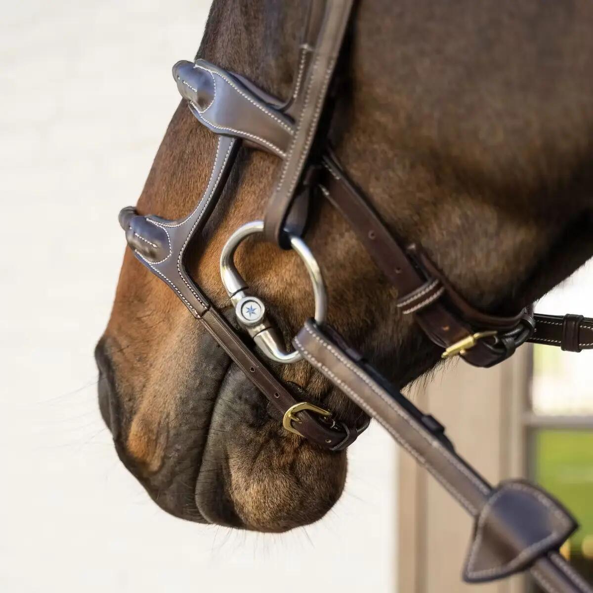 Muserolle cavallo doppia con corda rivestita Dy'on 5/5