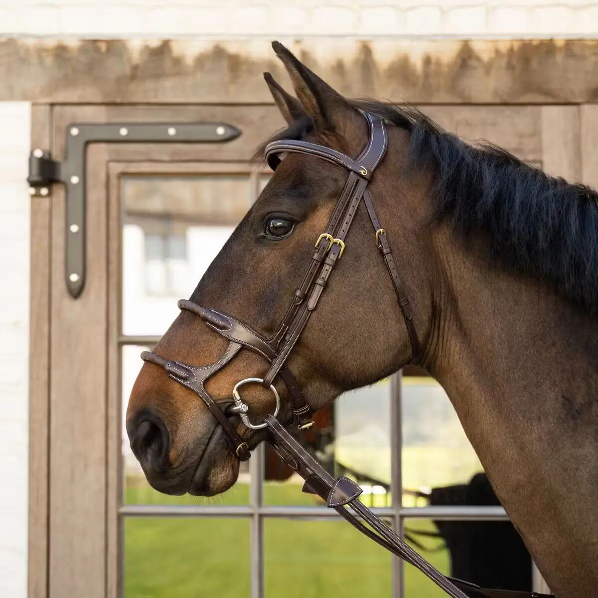Muserolle cavallo doppia con corda rivestita Dy'on 4/5