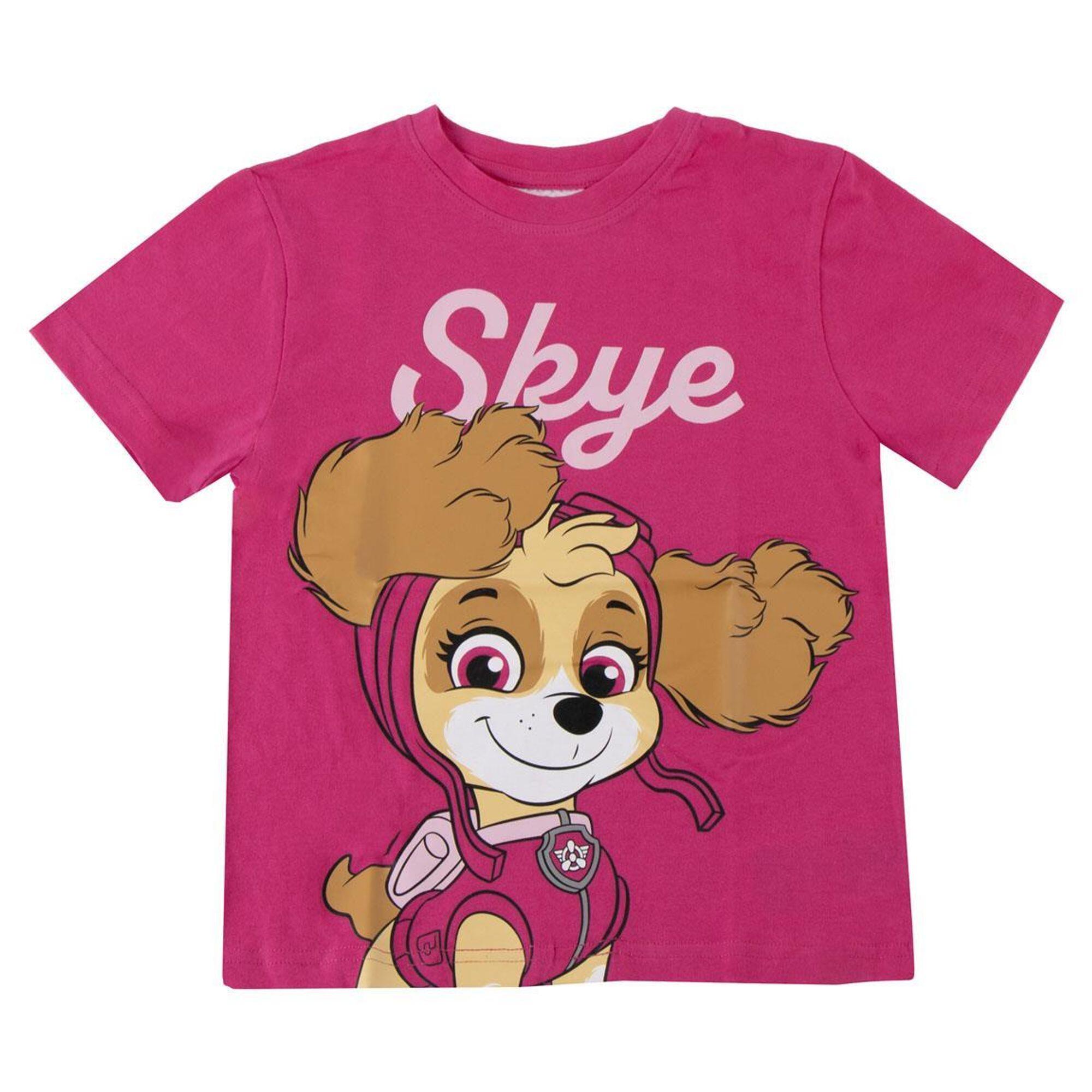 PAW PATROL picture