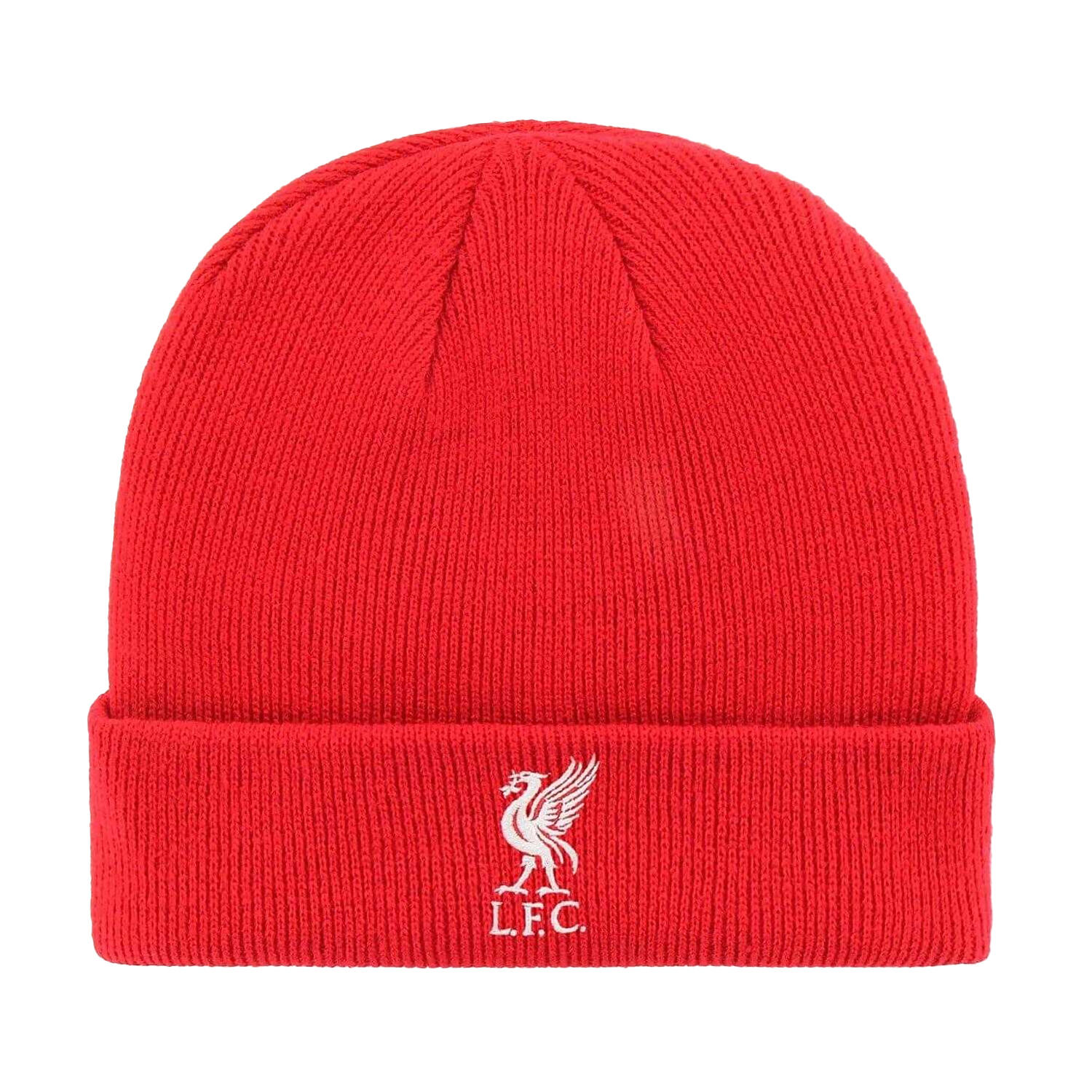 LIVERPOOL FC picture
