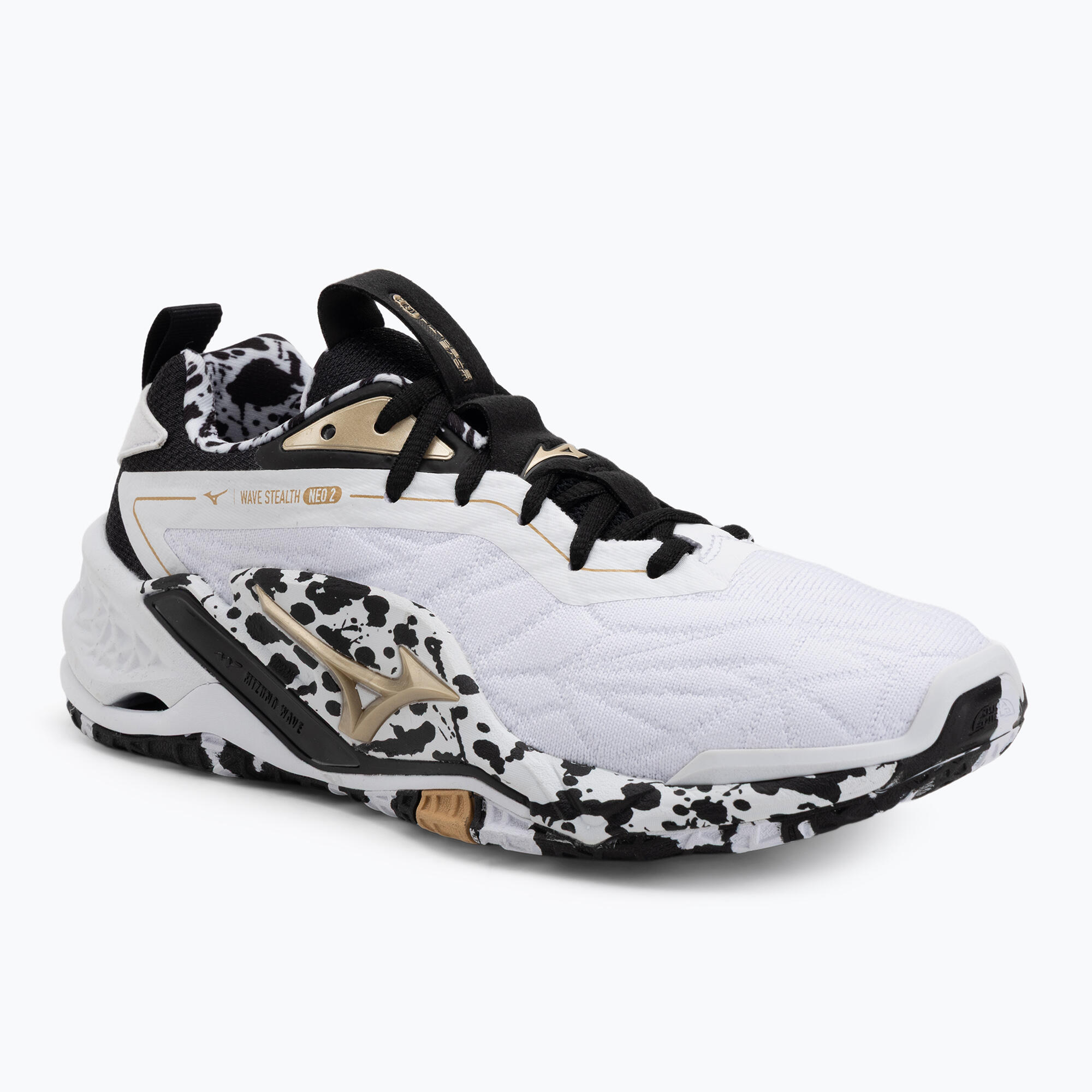 MIZUNO picture