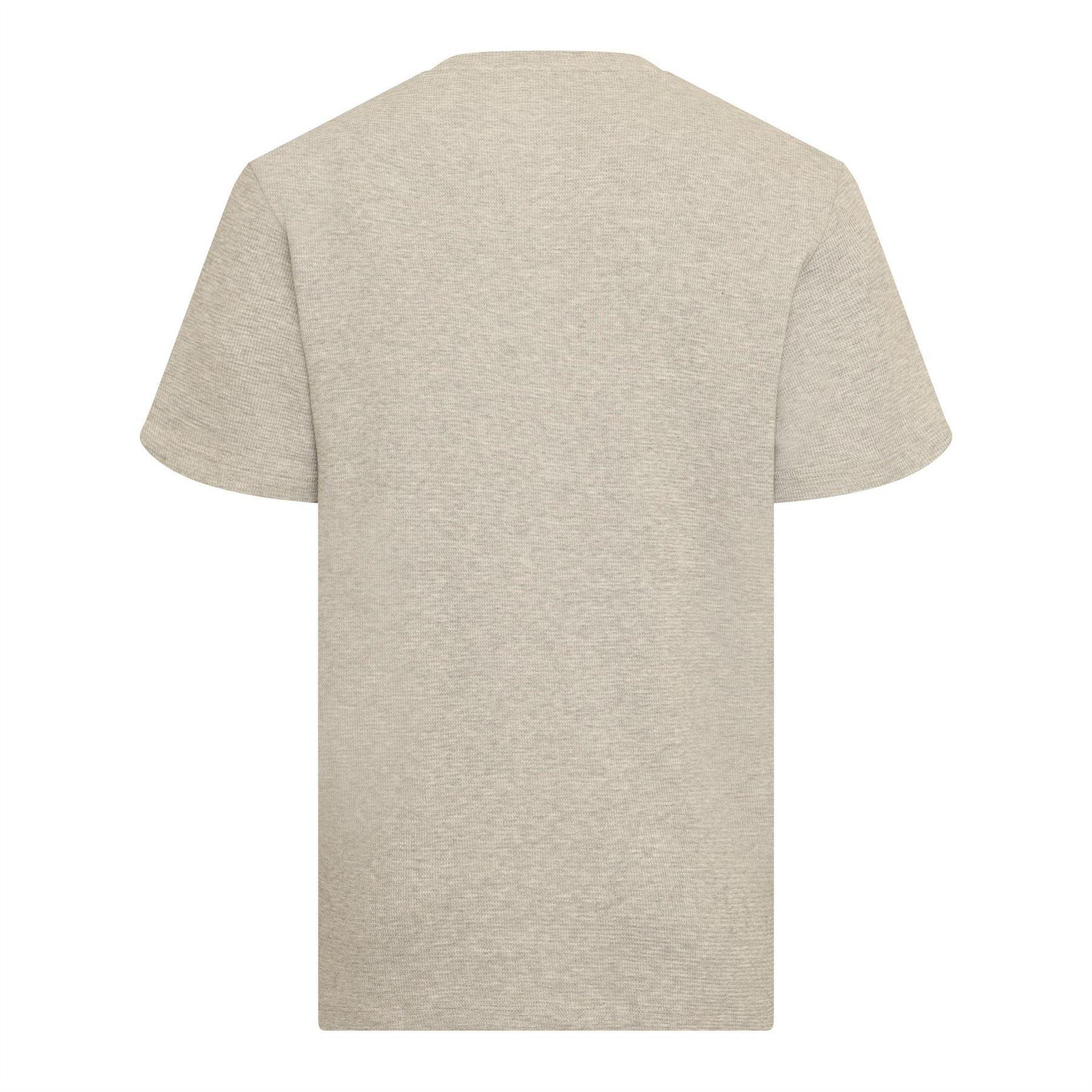 Maglietta Cialda Misto Cotone Uomo Lacoste Grigio Argento 2/2