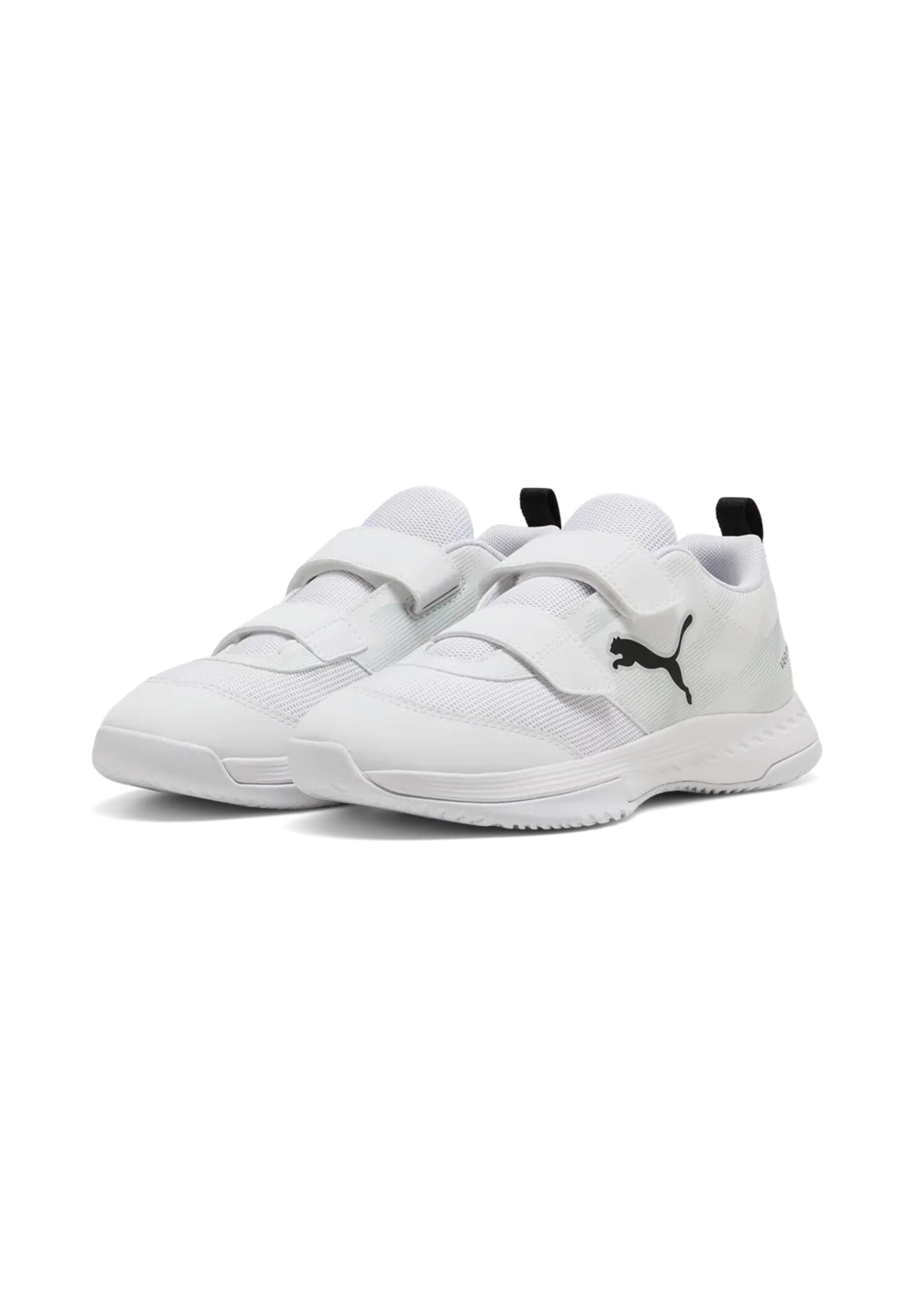 PUMA picture