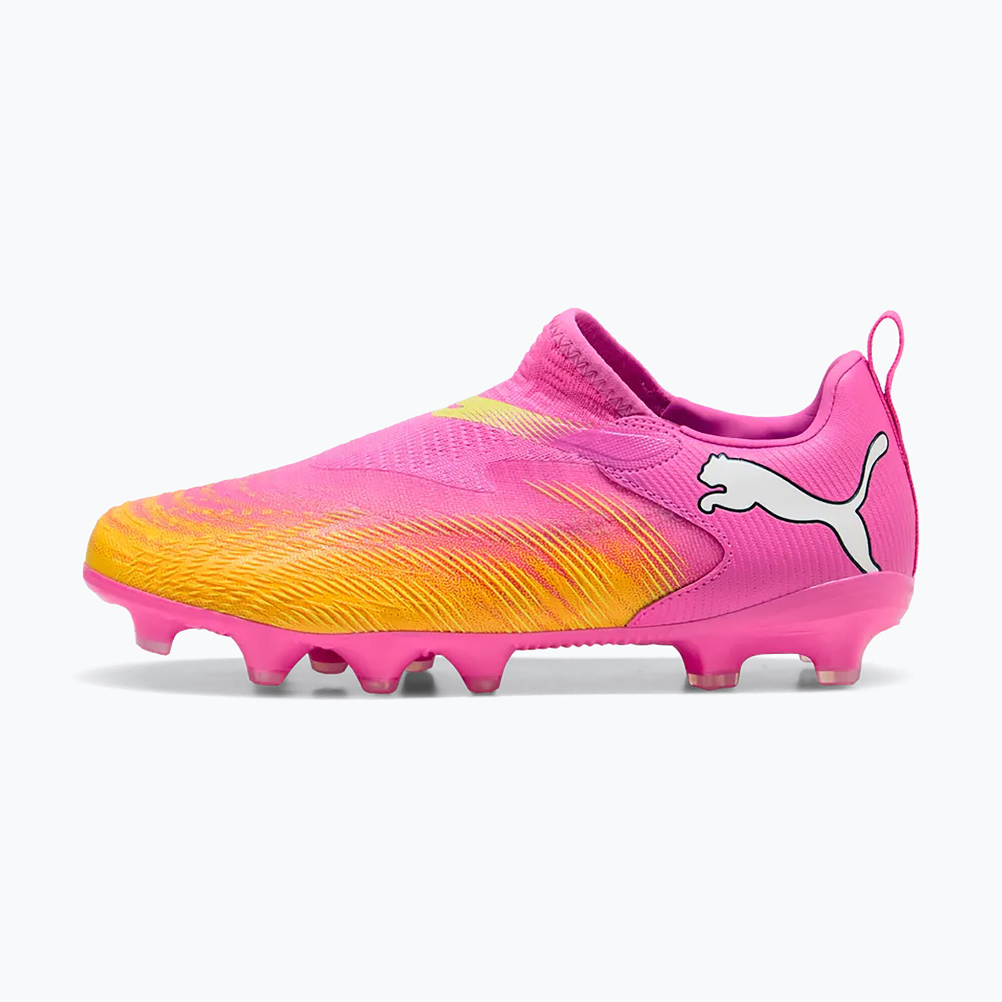 PUMA picture