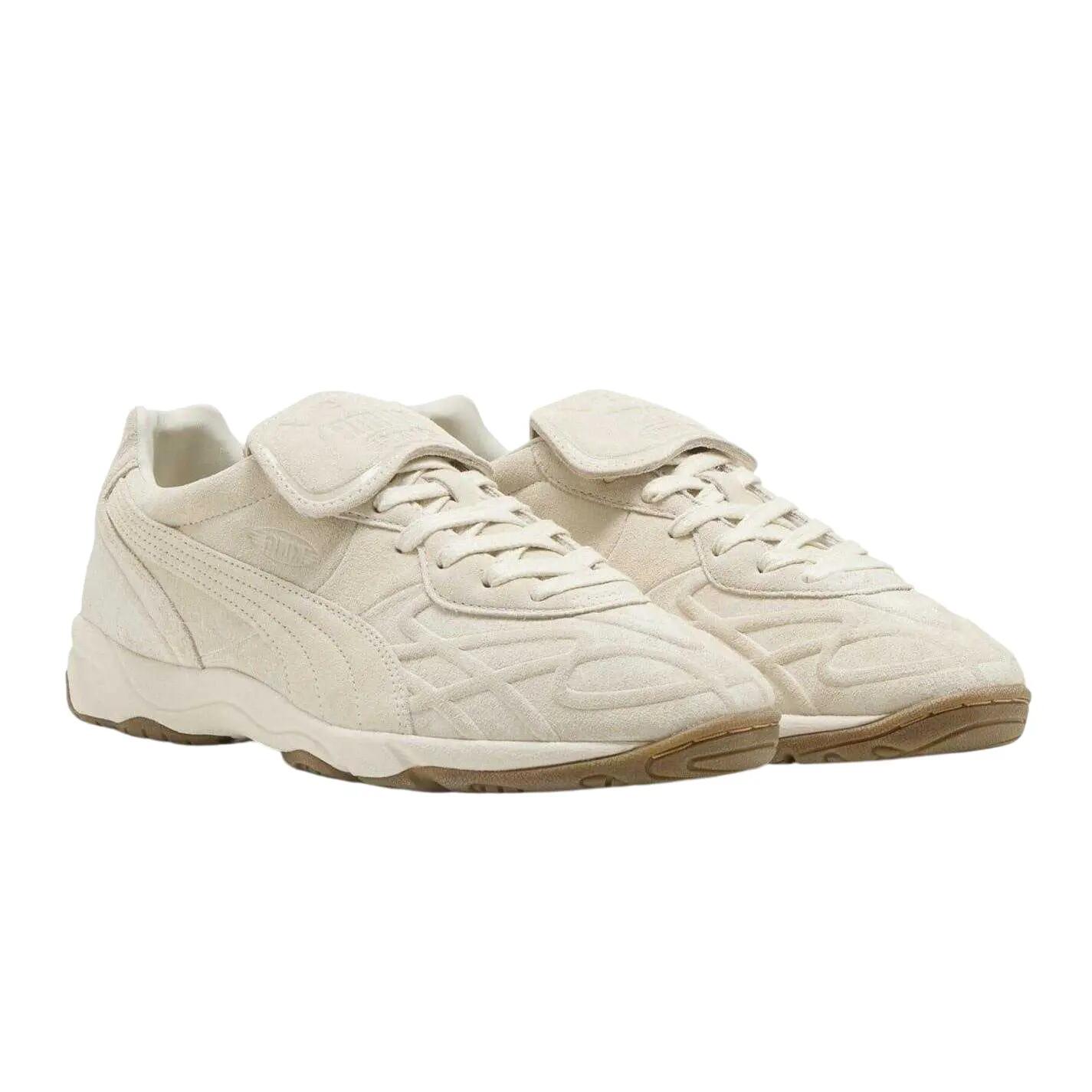 PUMA picture
