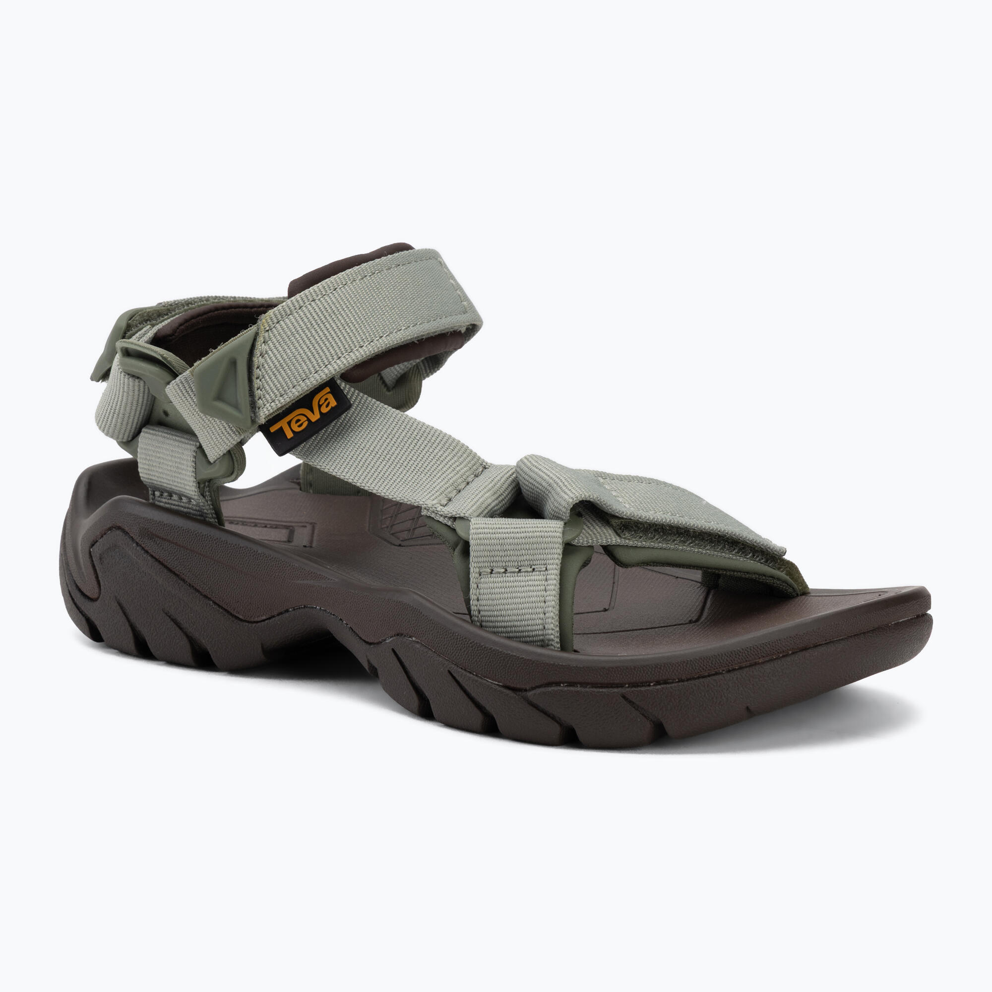 TEVA picture