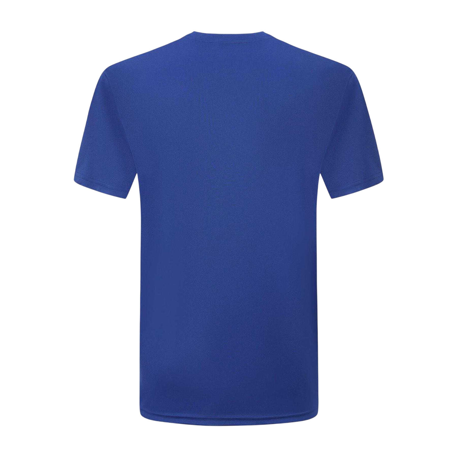 Mens Tech Plain Polyester TShirt (Royal Blue) 2/2