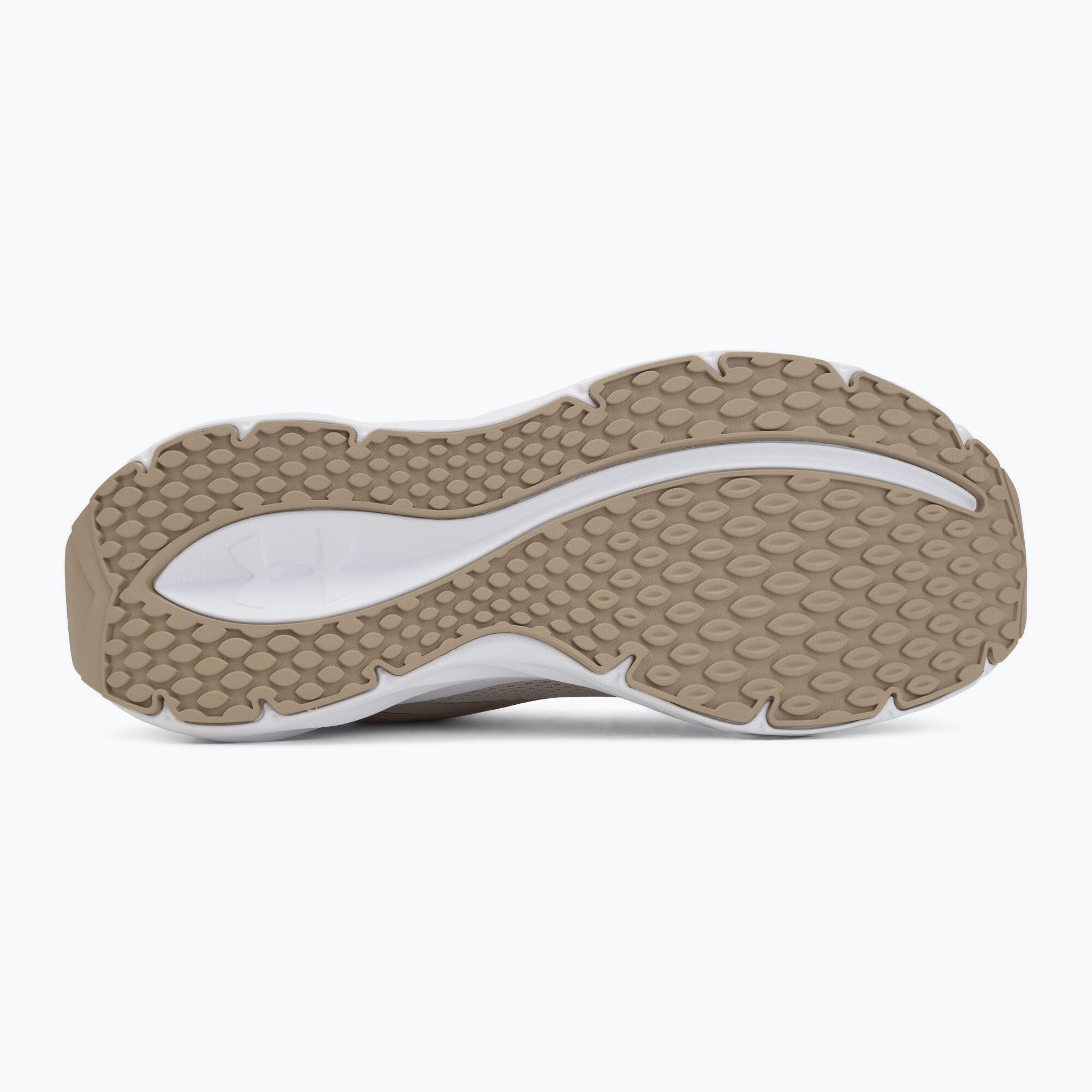 Buty do biegania męskie Under Armour Ascend 4/7