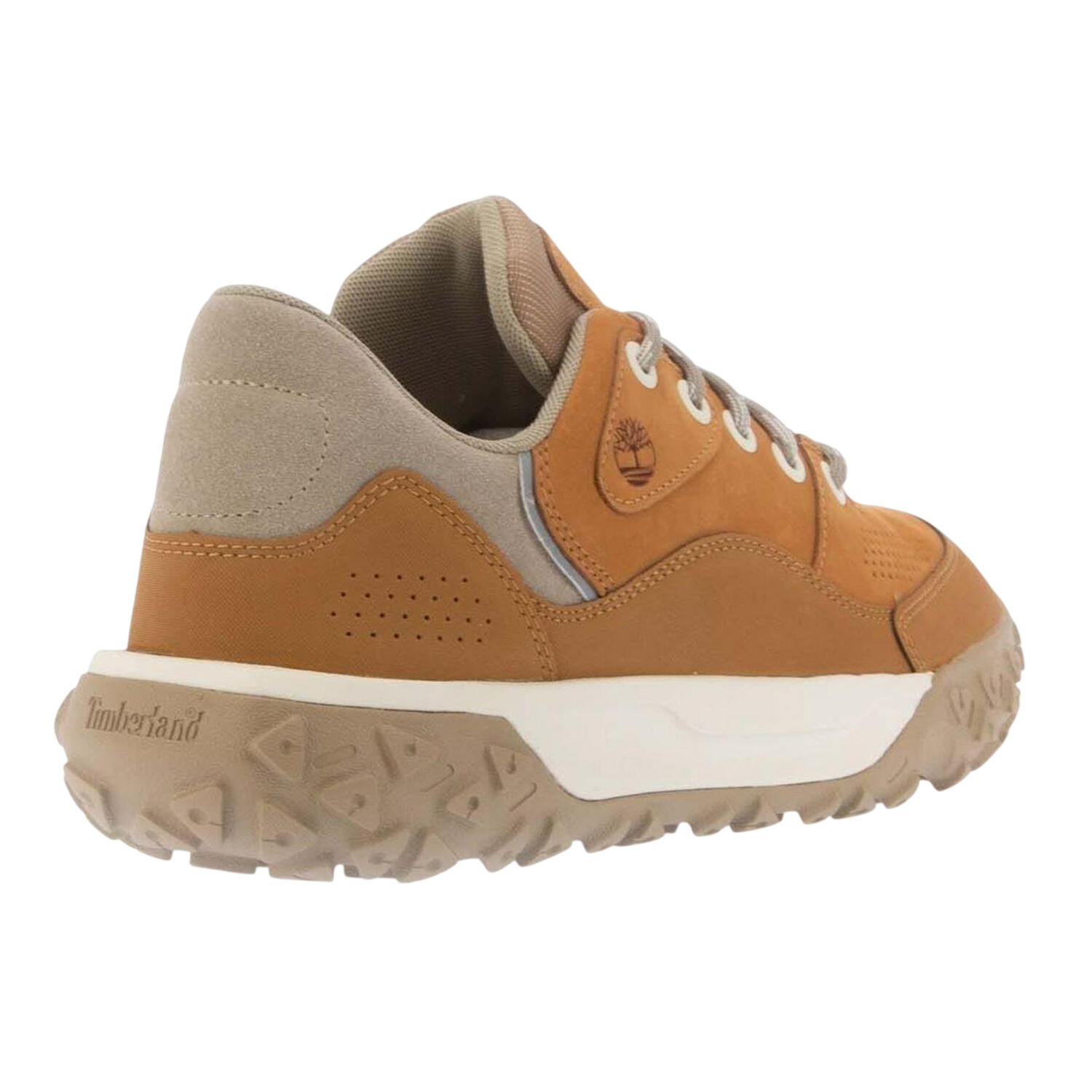 Scarpe Sportive Pelle GreenStrideUomo Timberland Motion 6 Grano 2/4