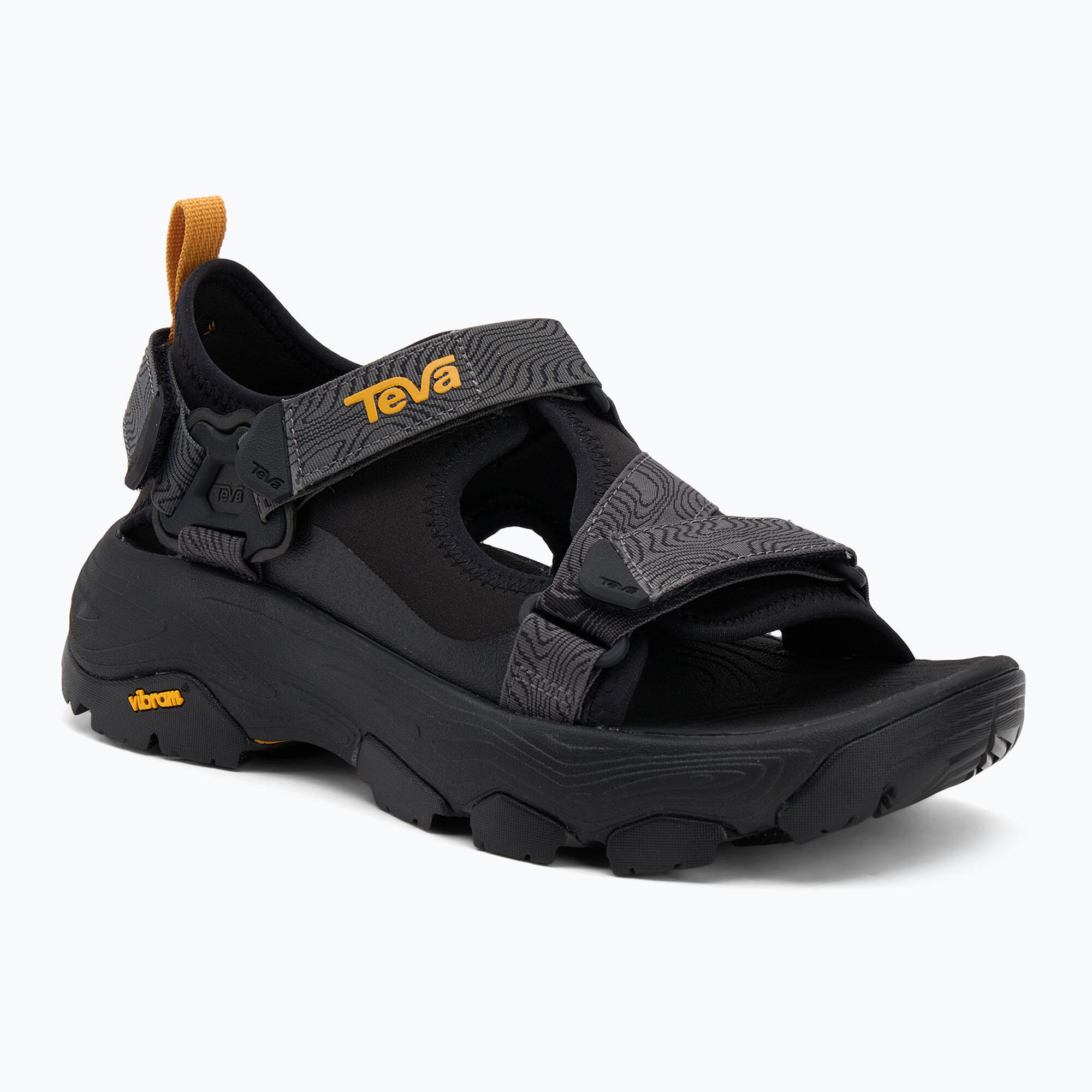 TEVA picture