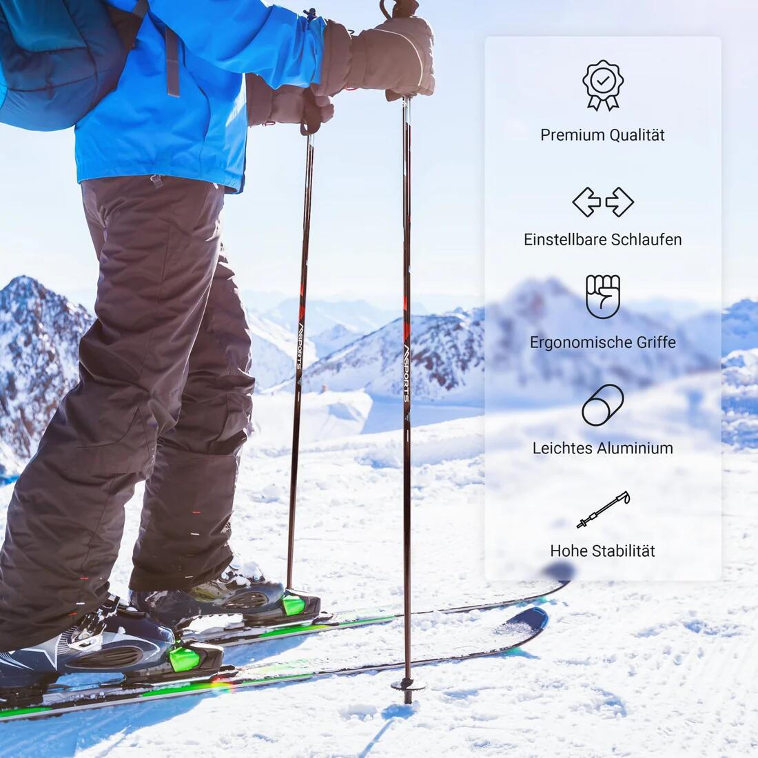 Bâtons de ski haut de gamme 6/7