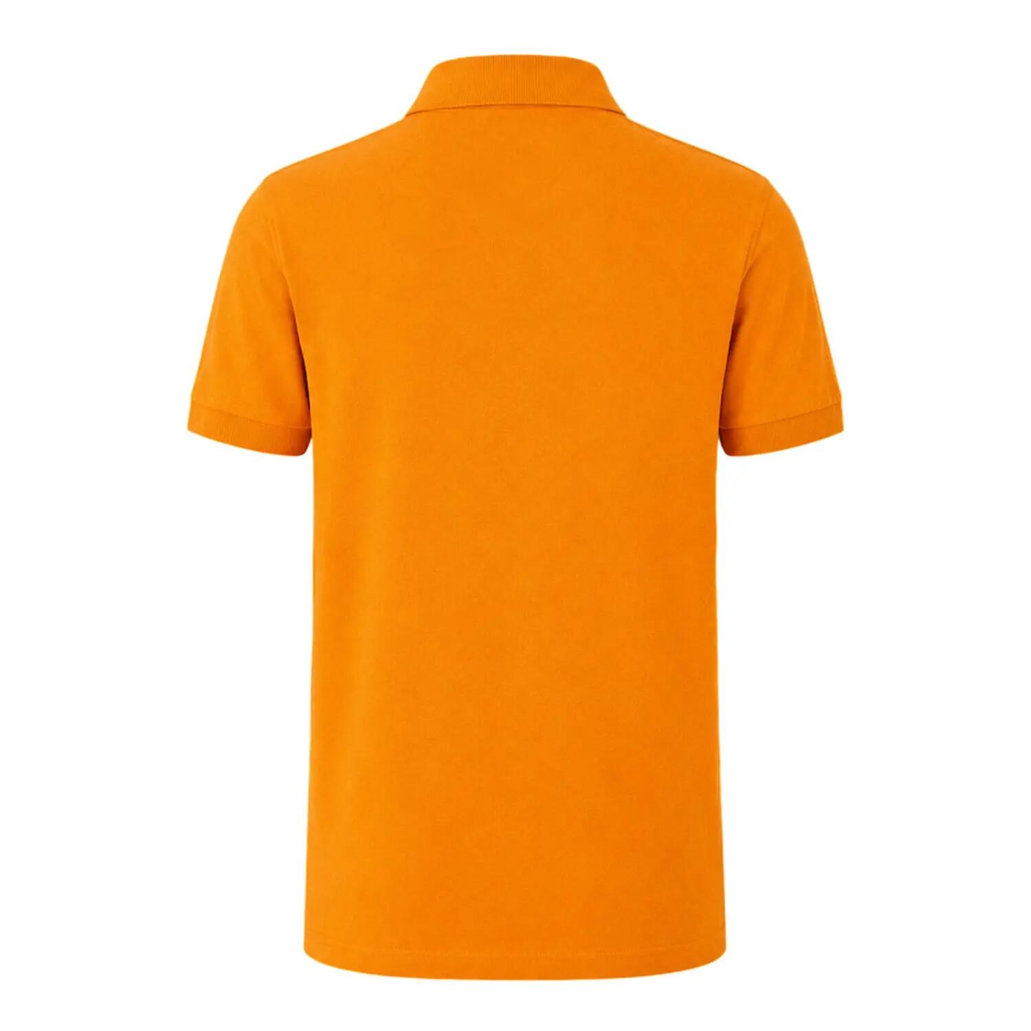 Polo FIRENZE Homme (Blanc) 2/2