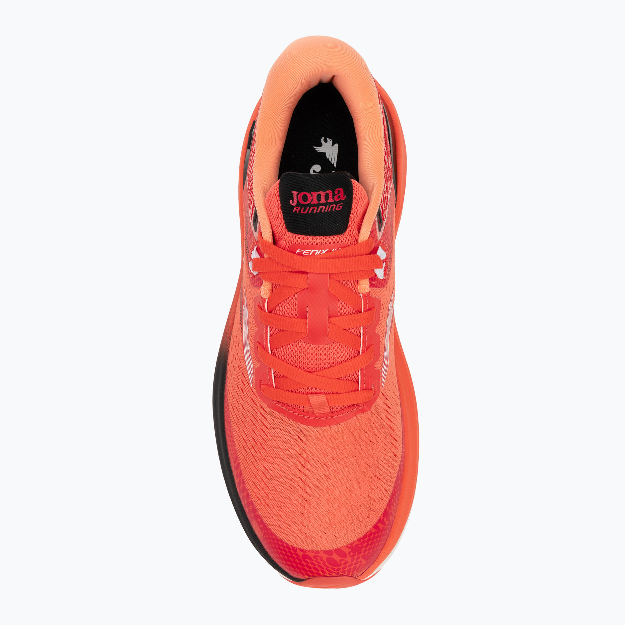 Scarpe da corsa da uomo Joma Fenix 5/7