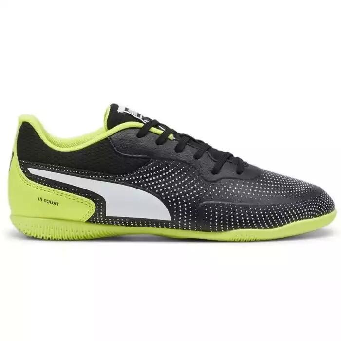 PUMA picture